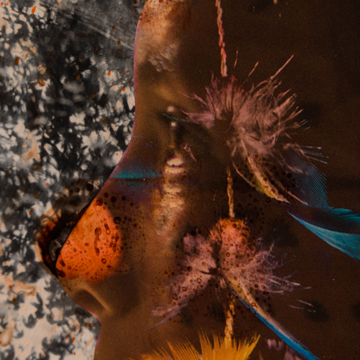 MAZ ORI POR 30620 4 Selva (Jungle)