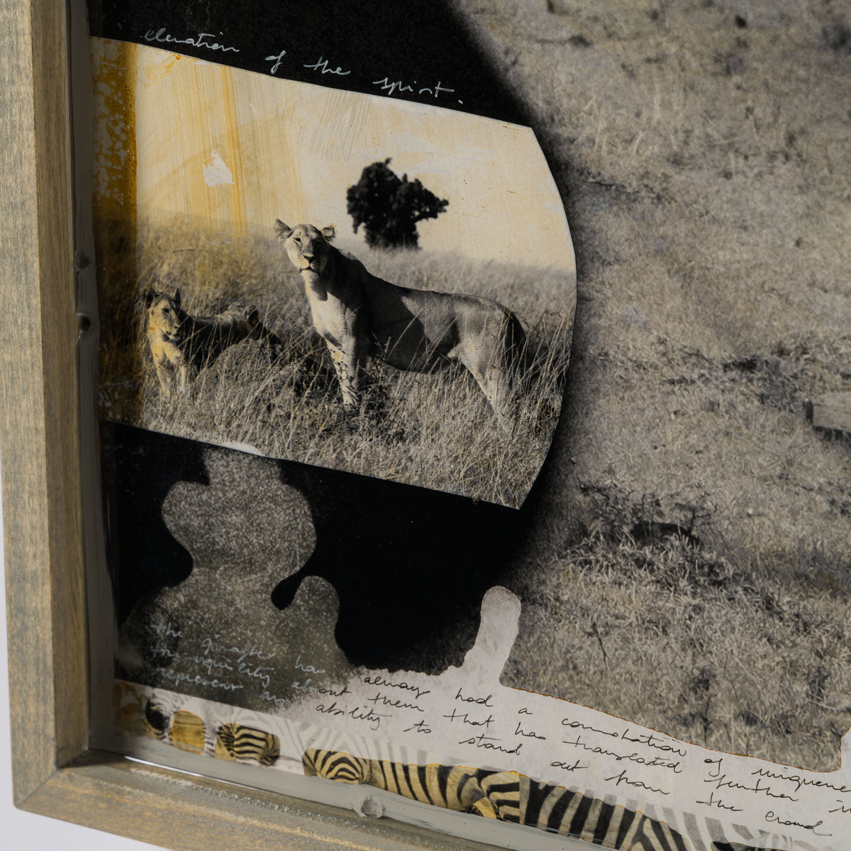 MAZ ORI POR 30624 5 Mwanga (Light)