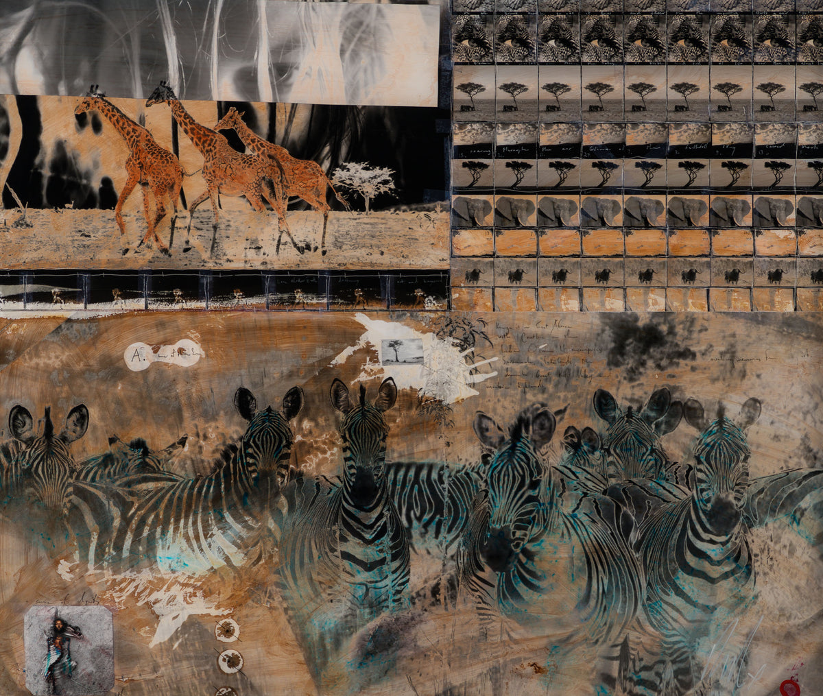 MAZ ORI POR 30626 31 Shahidi (Witness)