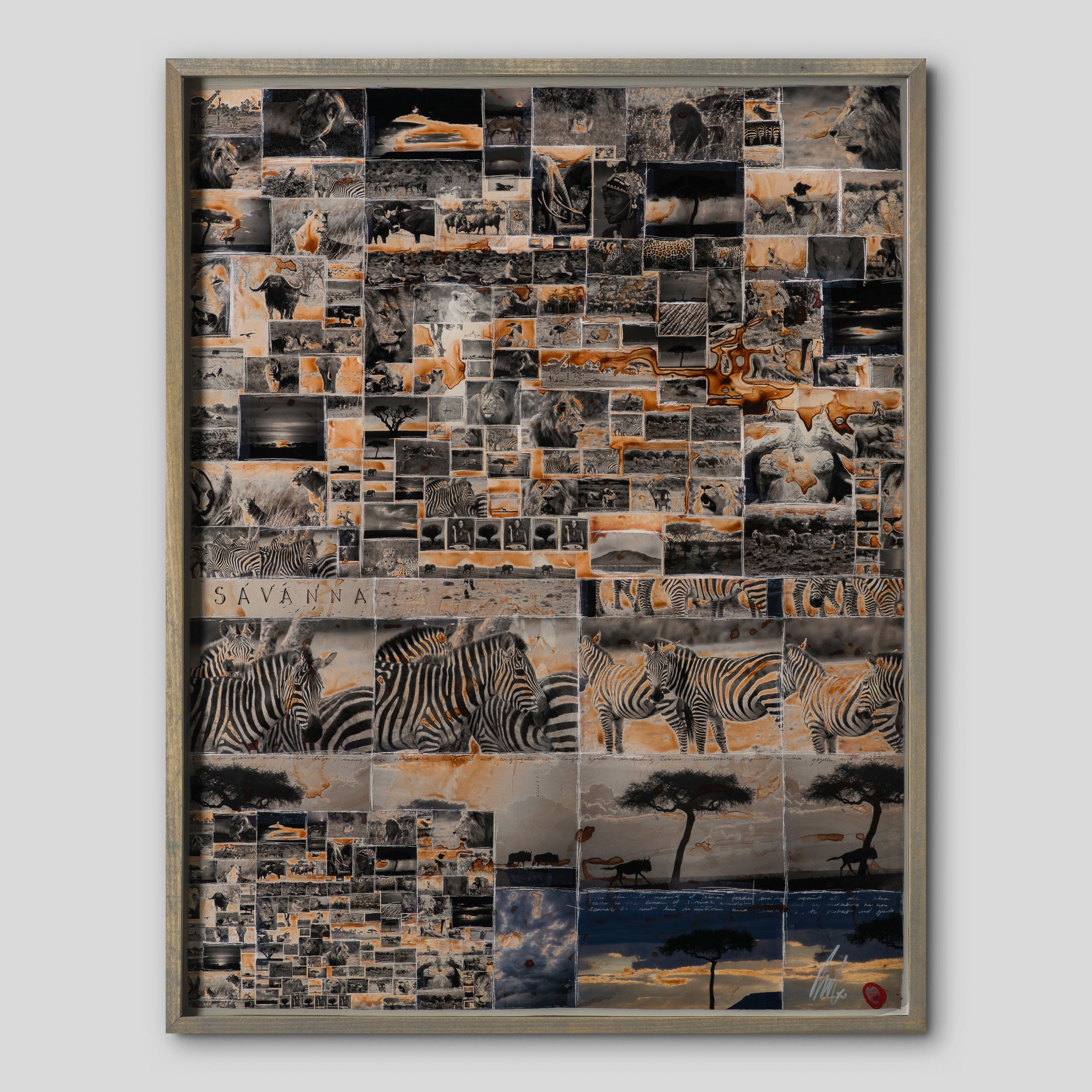 MAZ ORI POR 30630 1 Kuhama (Migrate)