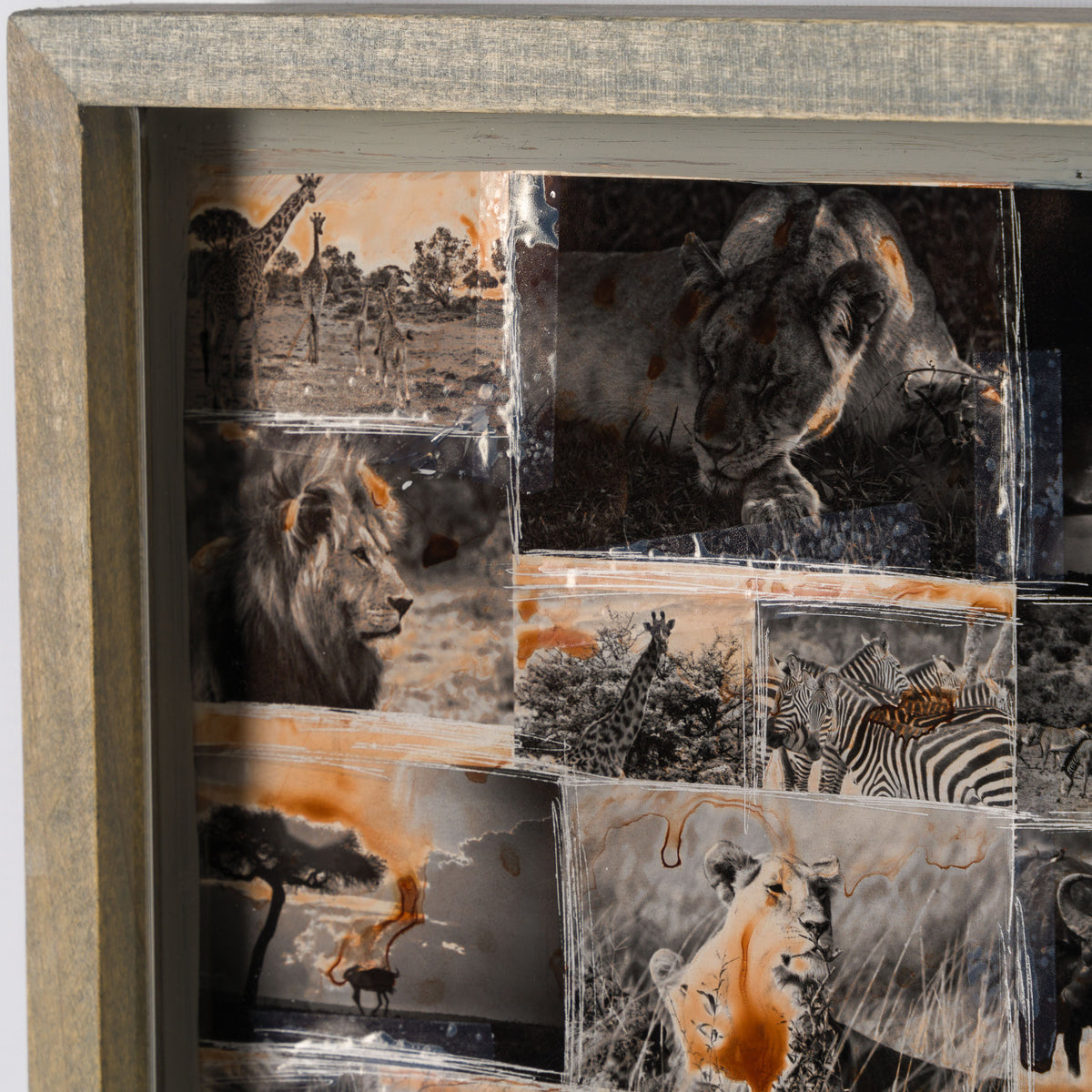 MAZ ORI POR 30630 5 Kuhama (Migrate)