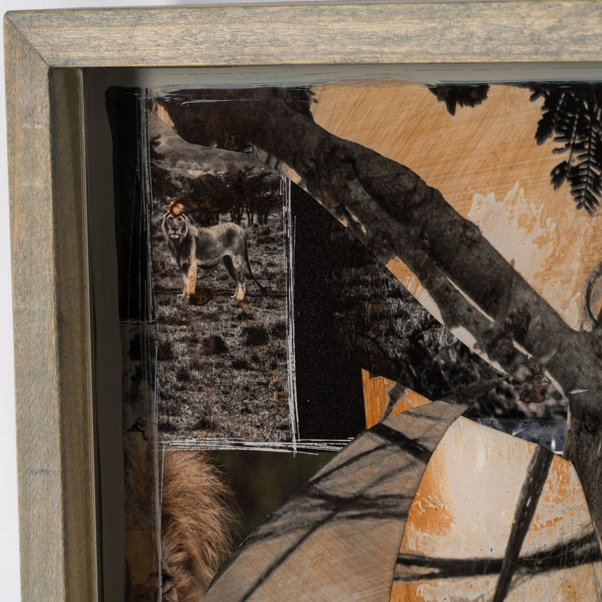 MAZ ORI POR 30633 5 Kumbusu (Sunkissed)