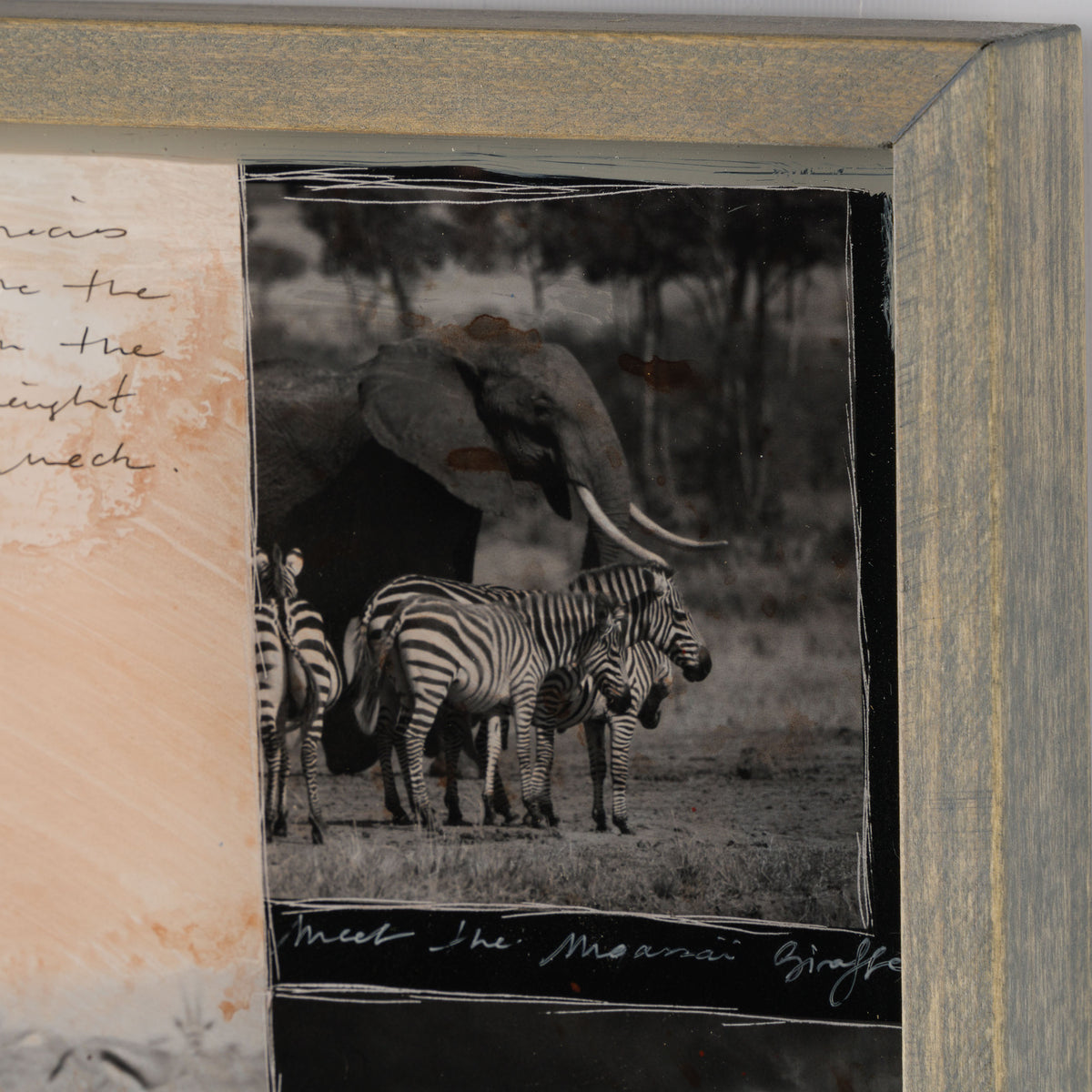 MAZ ORI POR 30634 4 Serengeti