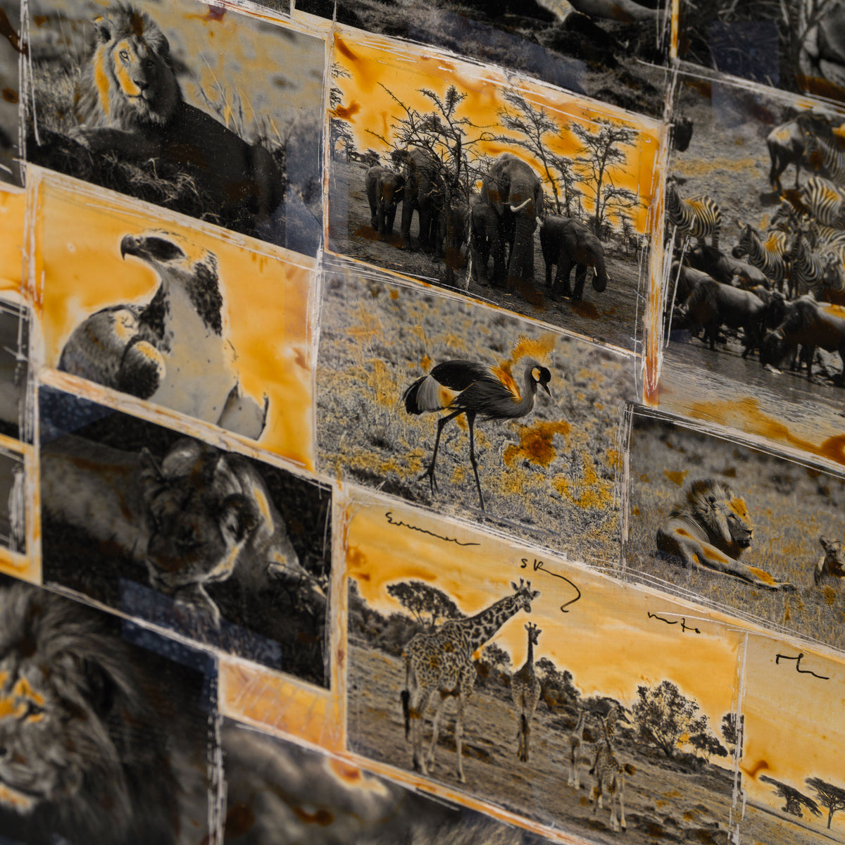 MAZ ORI POR 30635 6 Sehemu (Segments)