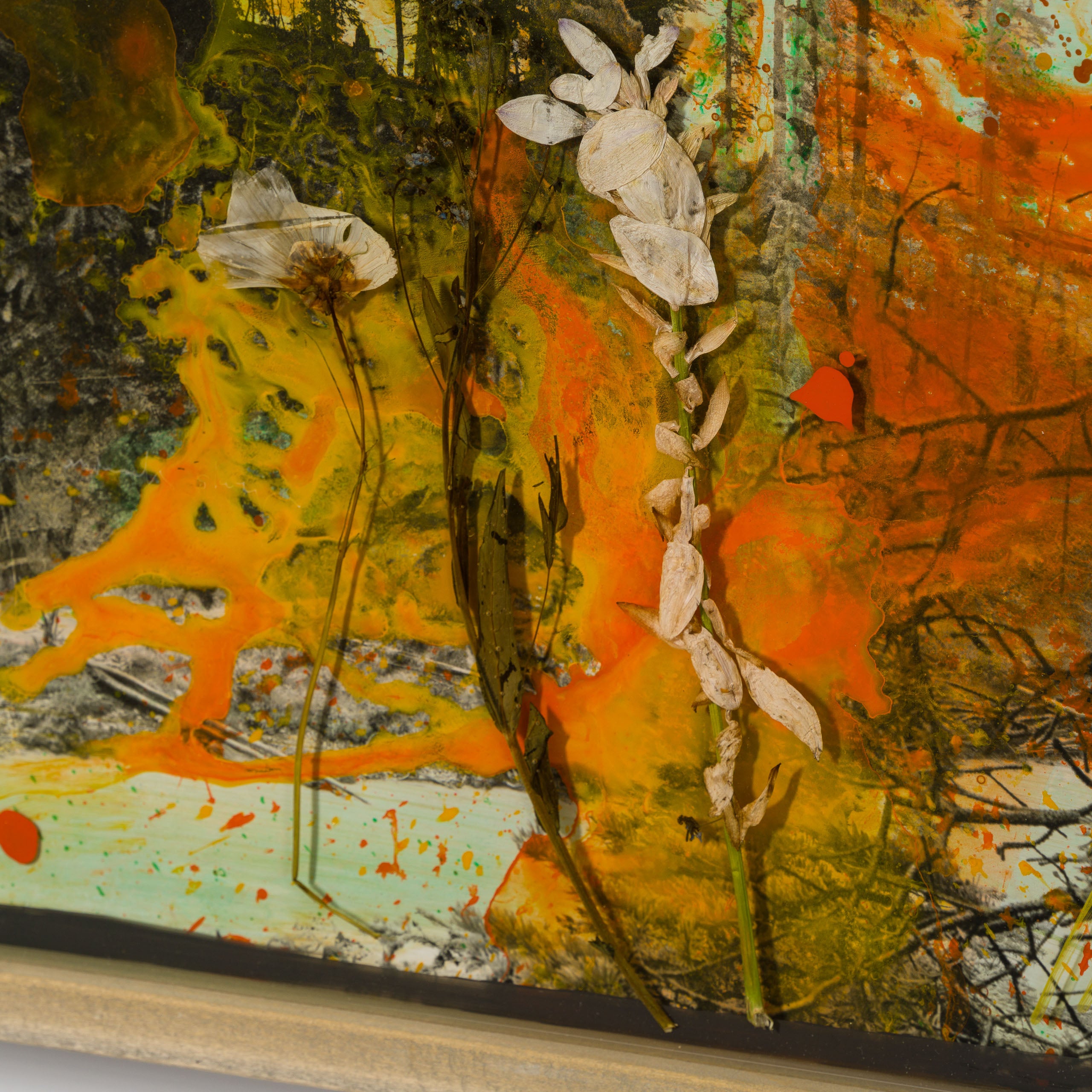 MAZ ORI POR 32909 Eden Whispers 5