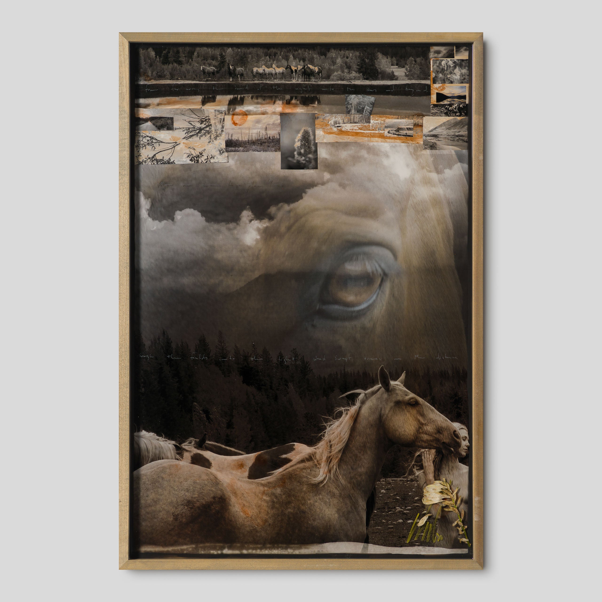 MAZ ORI POR 32912 Guide Me Home 1