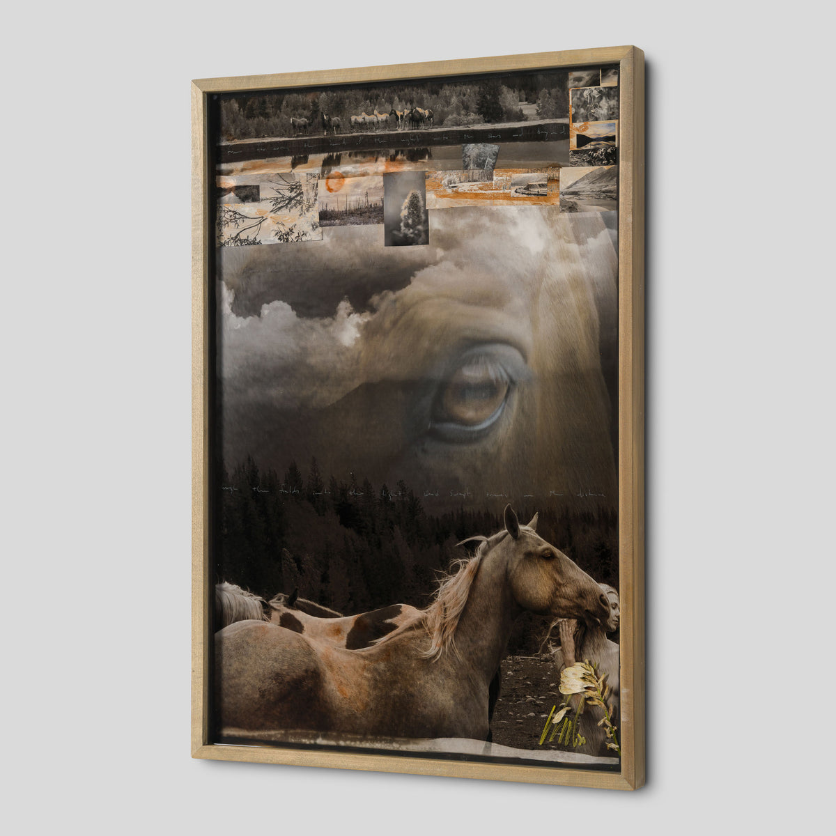 MAZ ORI POR 32912 Guide Me Home 2