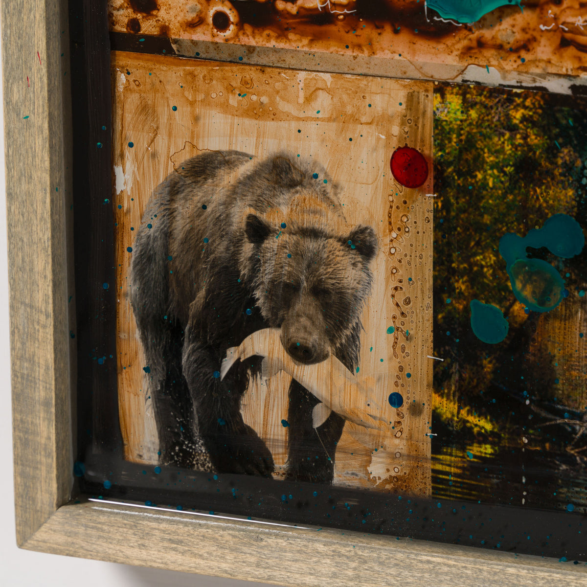 MAZ ORI POR 32913 Homeward Bound 4