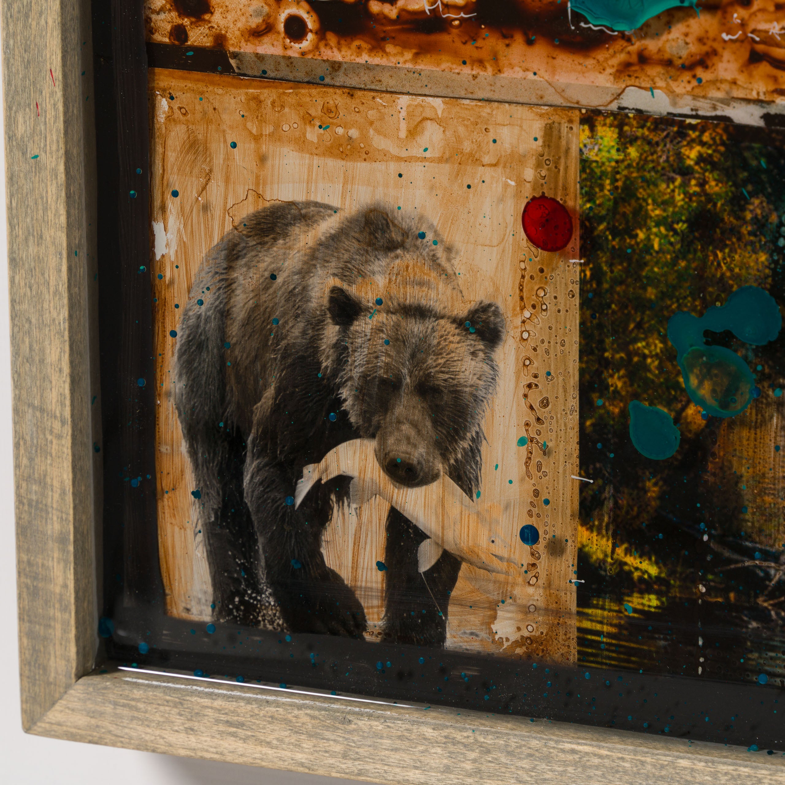 MAZ ORI POR 32913 Homeward Bound 4