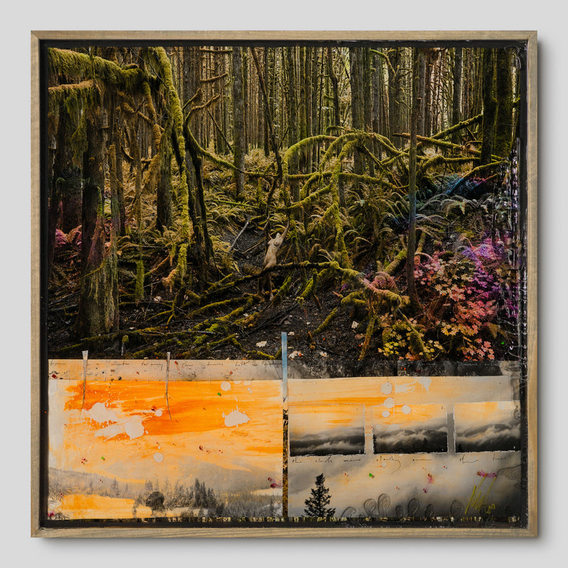 MAZ ORI POR 32914 Jungle Lover 1