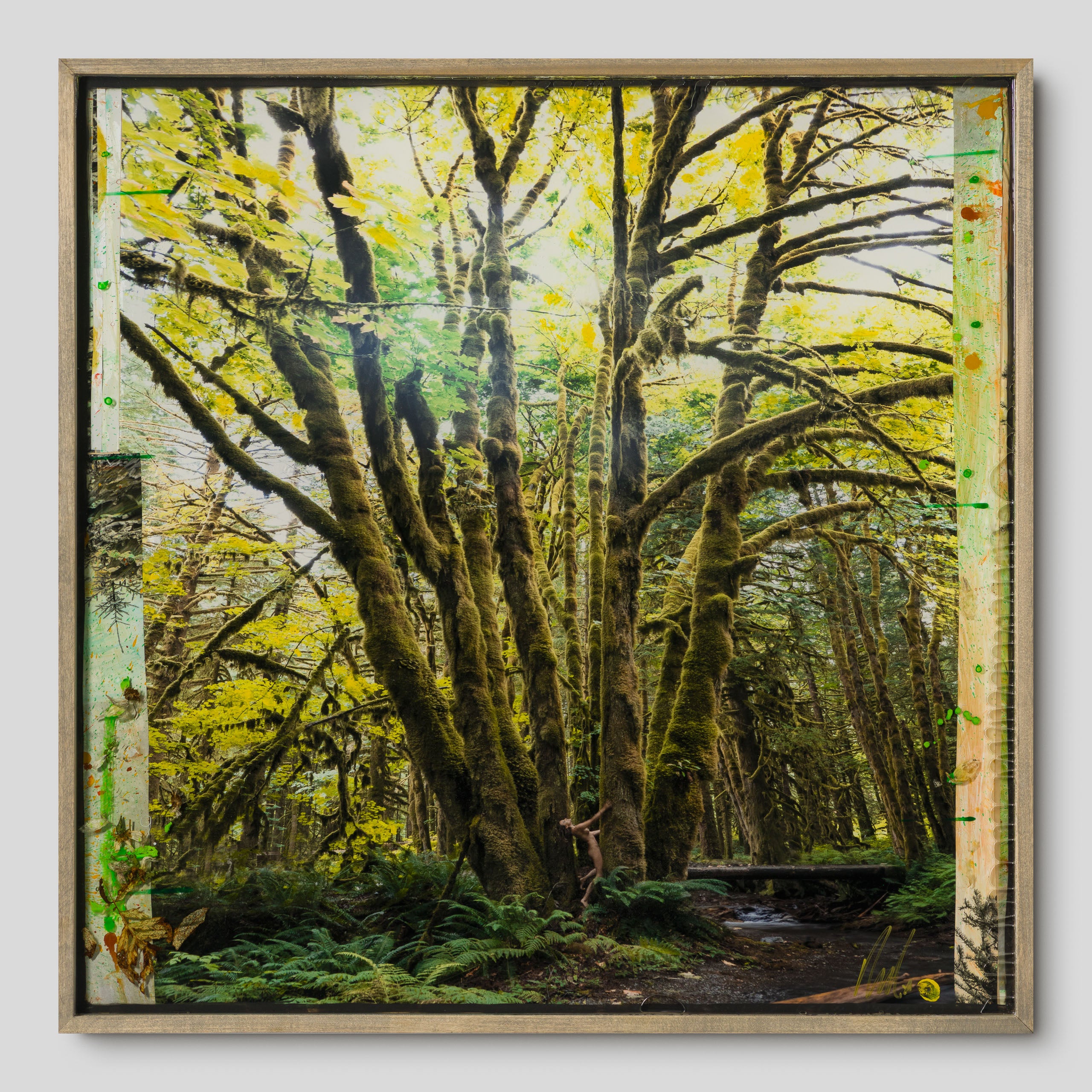 MAZ ORI POR 32916 Mossy Abandon 1