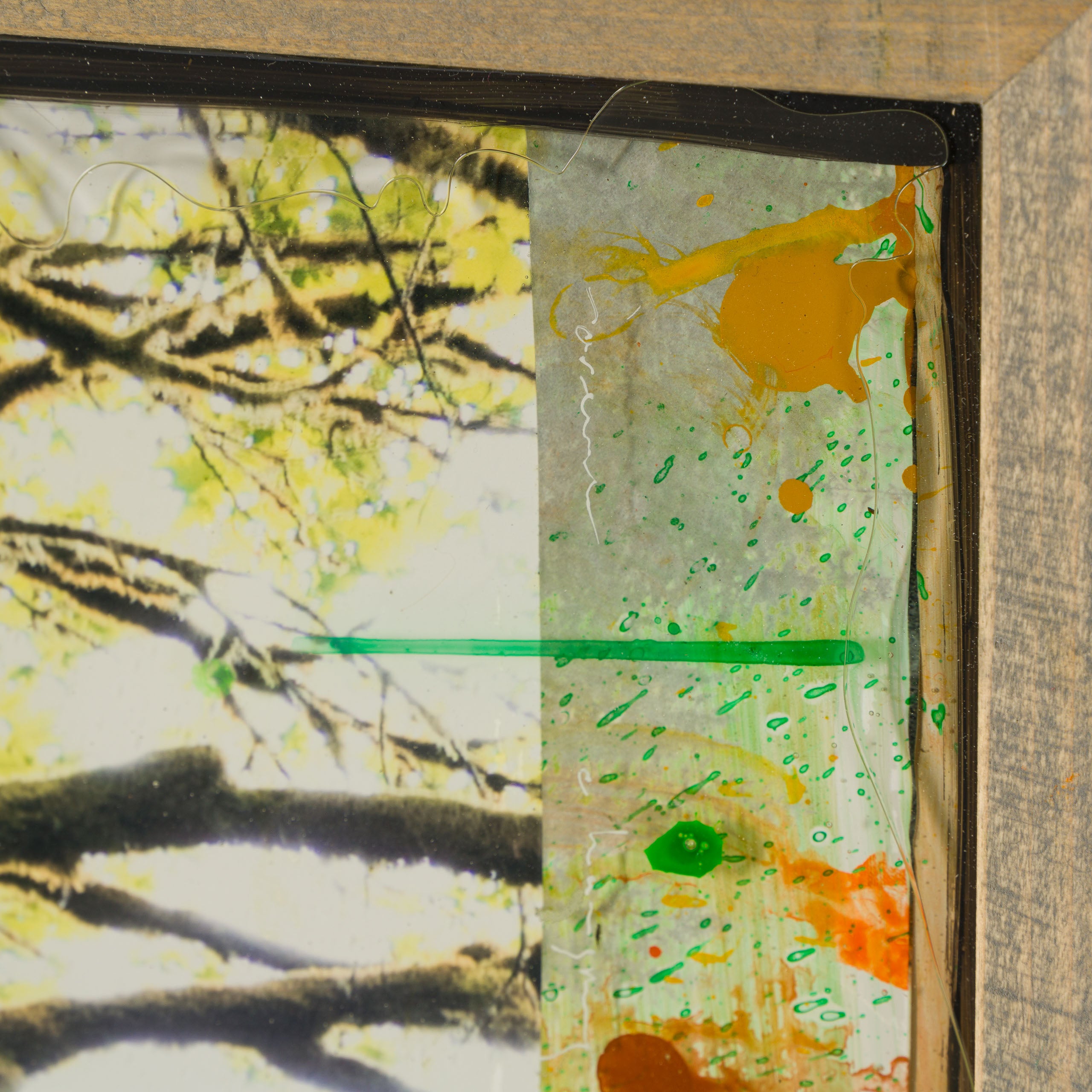 MAZ ORI POR 32916 Mossy Abandon 4