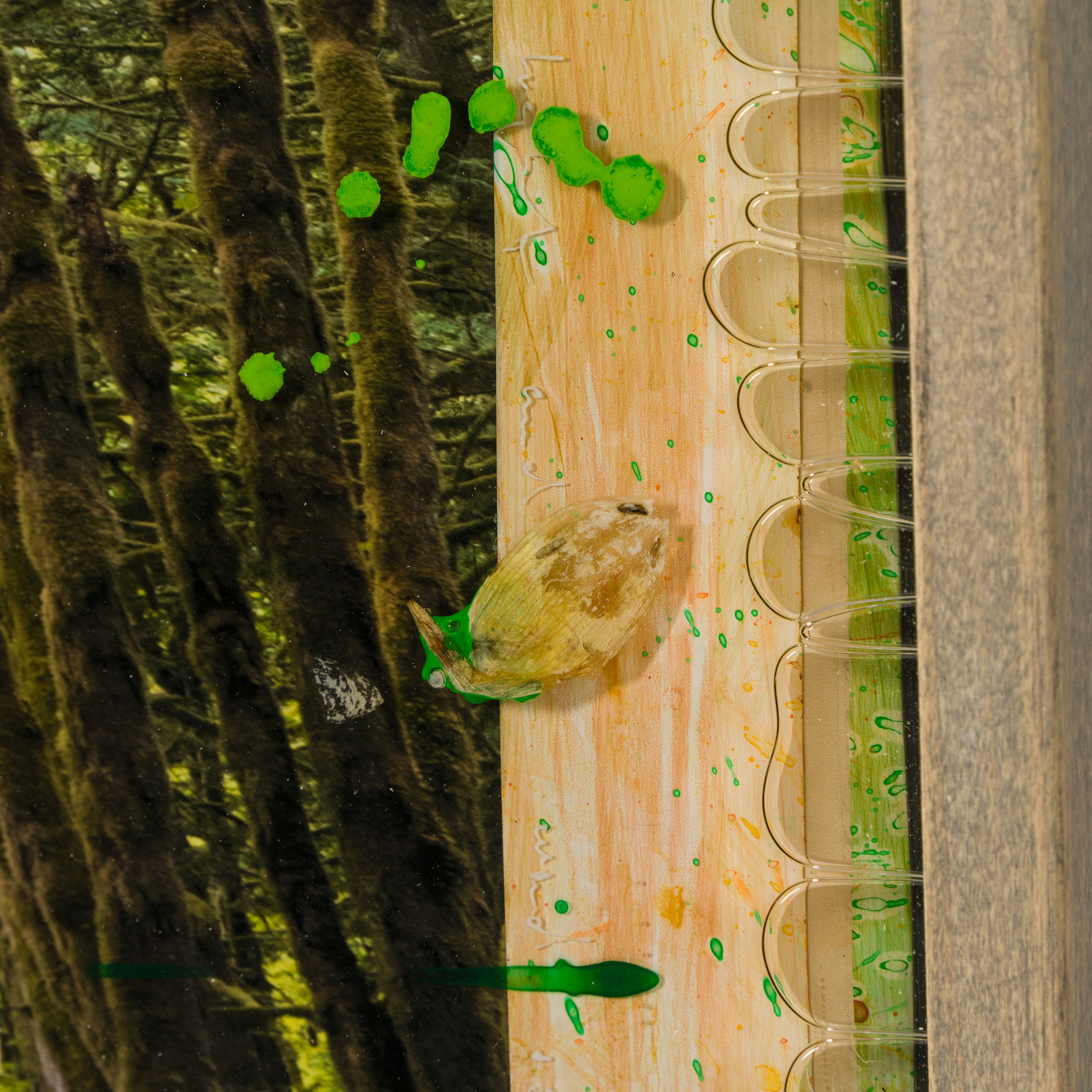 MAZ ORI POR 32916 Mossy Abandon 5