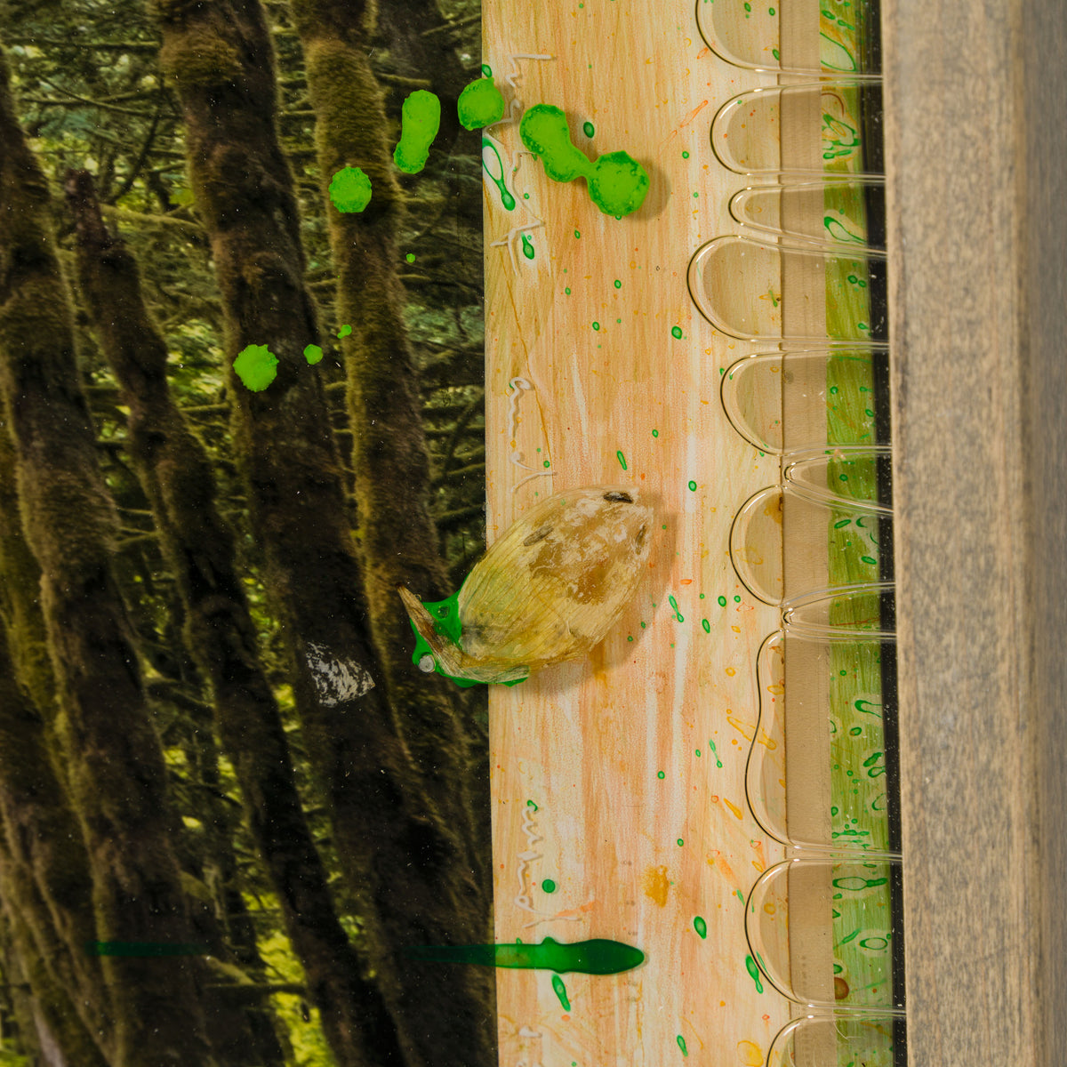 MAZ ORI POR 32916 Mossy Abandon 5