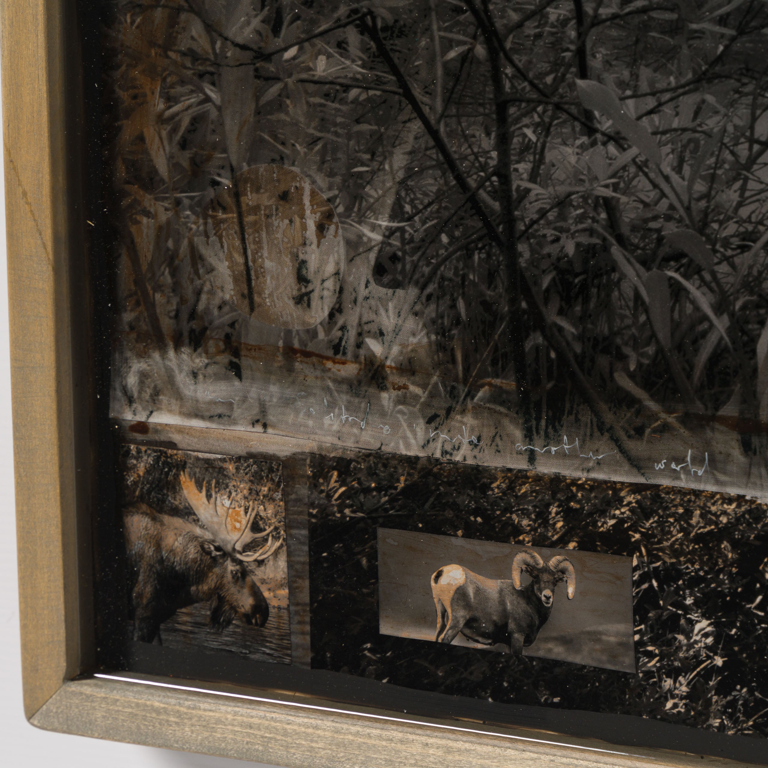 MAZ ORI POR 32917 Motherland 5