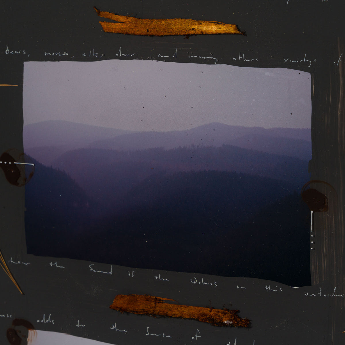 MAZ ORI POR 32918 Mountain Haze 4