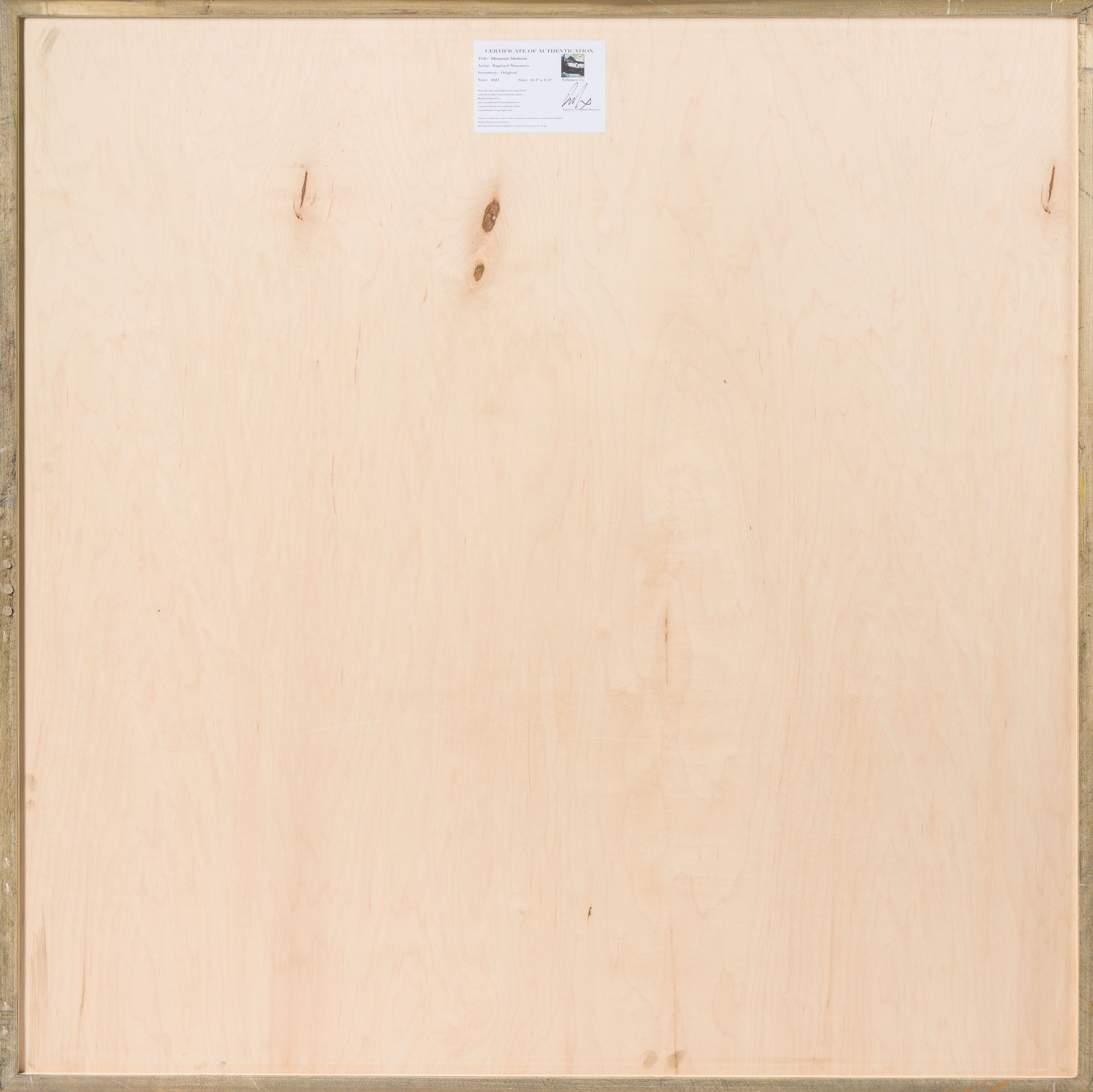 MAZ ORI POR 32919 Mountain Madness 7