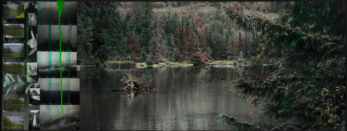 MAZ ORI POR 32922 Northern Reflection 31