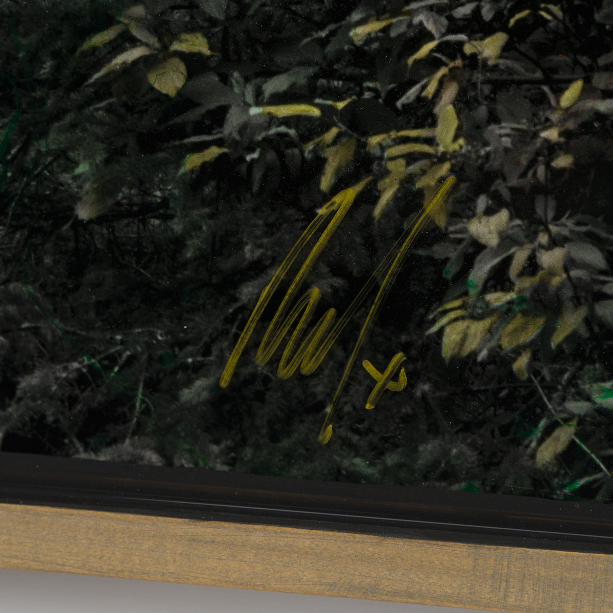 MAZ ORI POR 32922 Northern Reflection 3