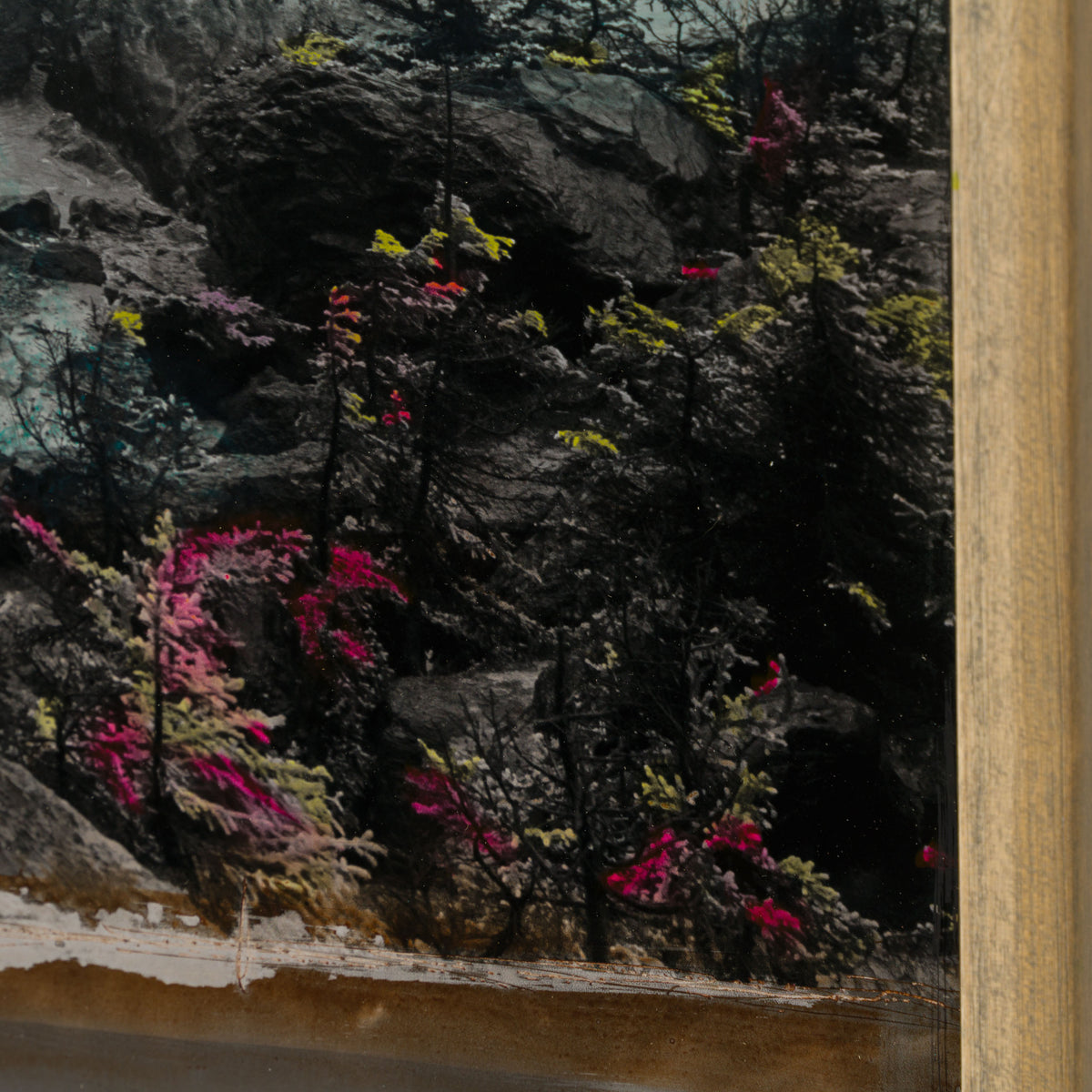 MAZ ORI POR 32925 River s Edge Resillience 5