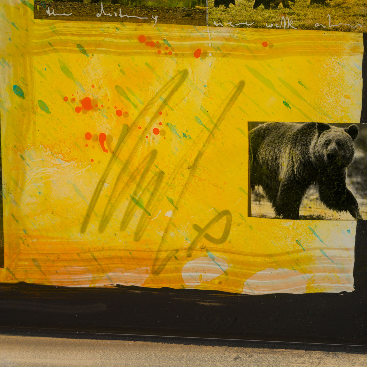 MAZ ORI POR 32929 Valley Dancer 3