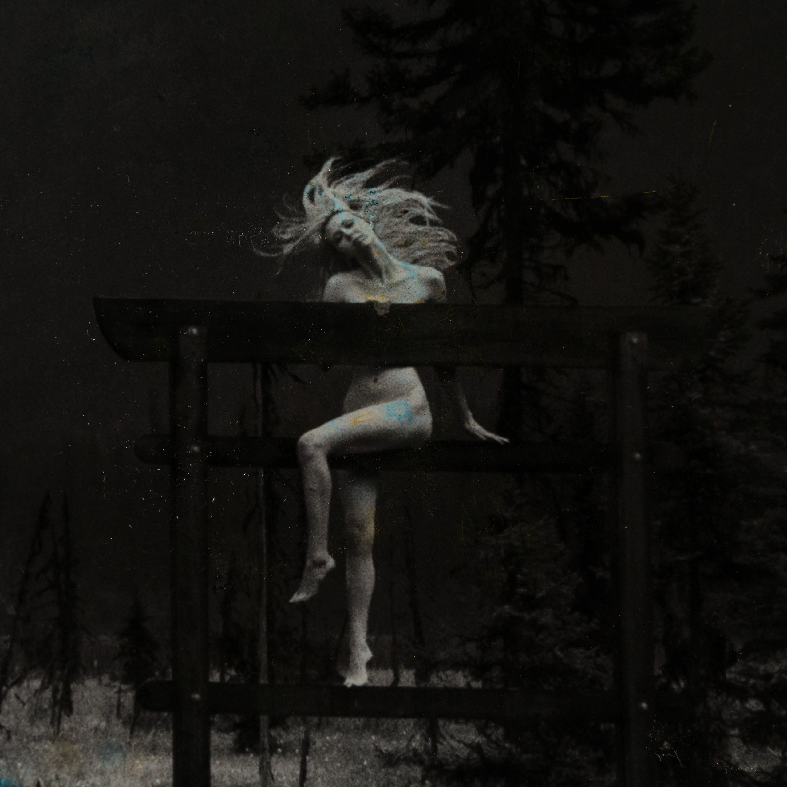 MAZ ORI POR 32929 Valley Dancer 4