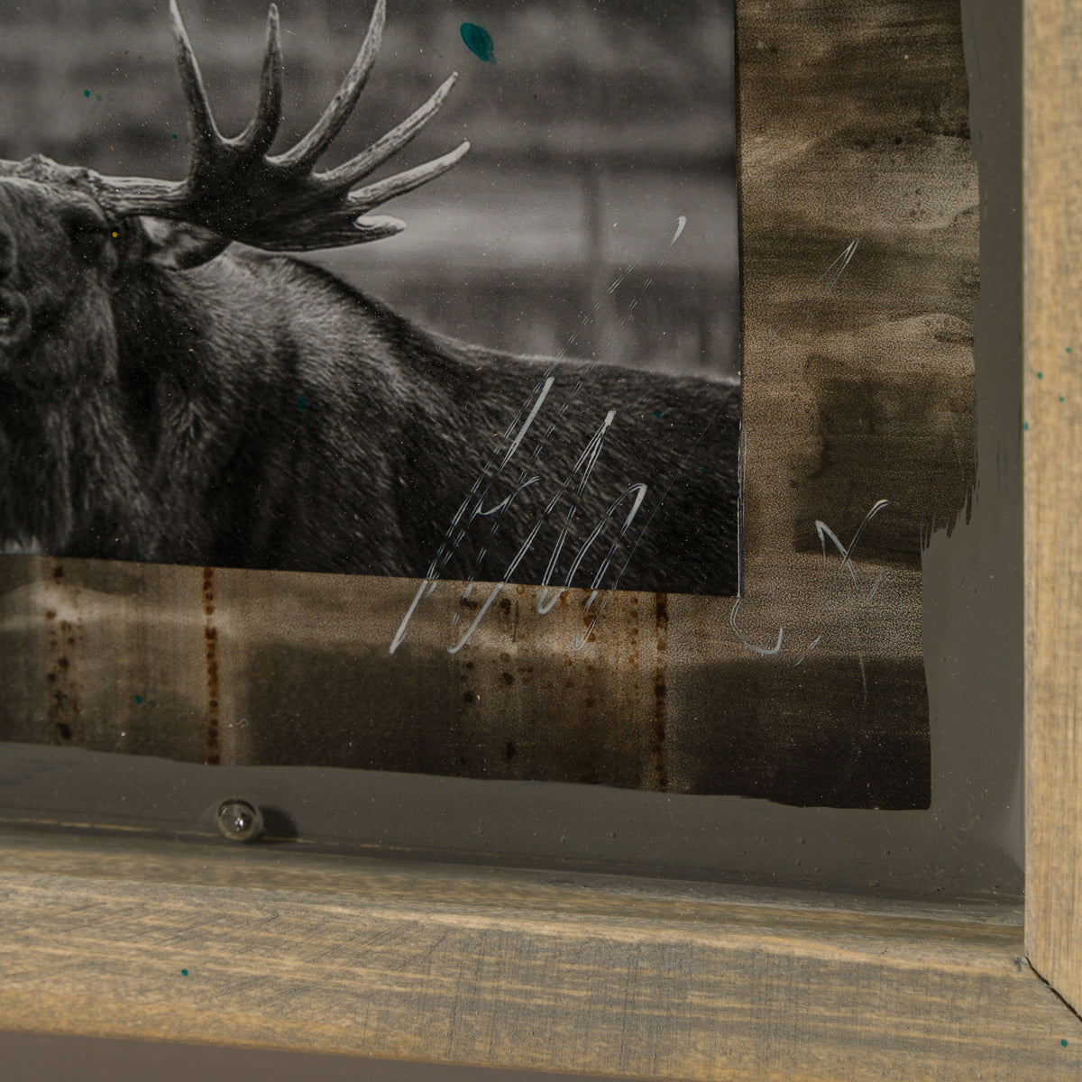 MAZ ORI POR 33725 Cowgirl Up 3