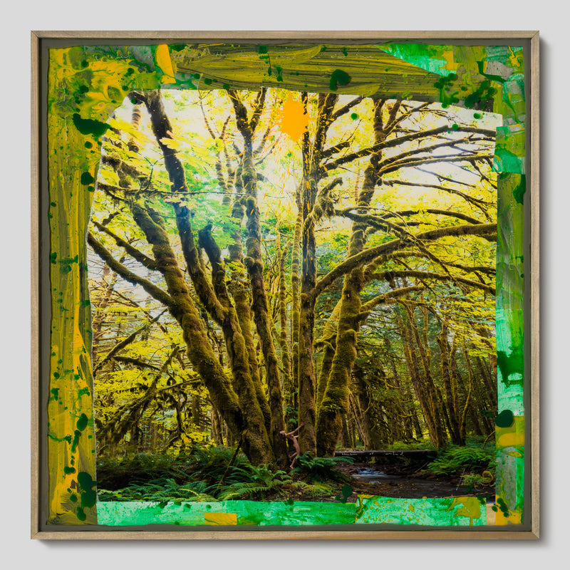 MAZ ORI POR 33735 Golden Abandon 1