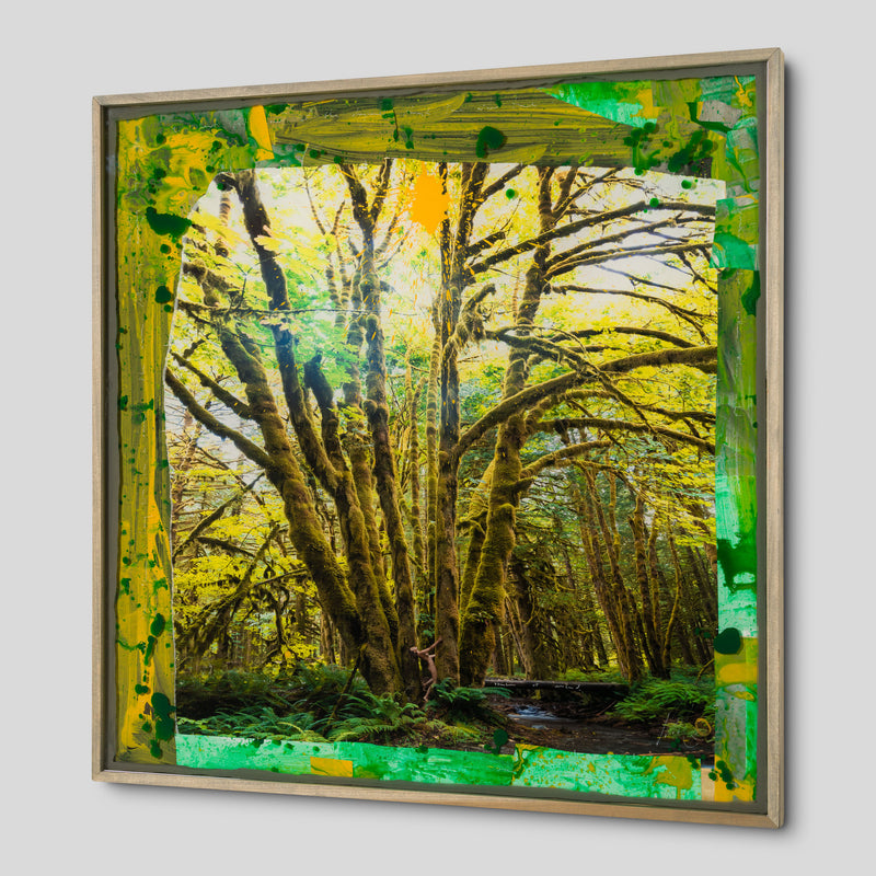 MAZ ORI POR 33735 Golden Abandon 2