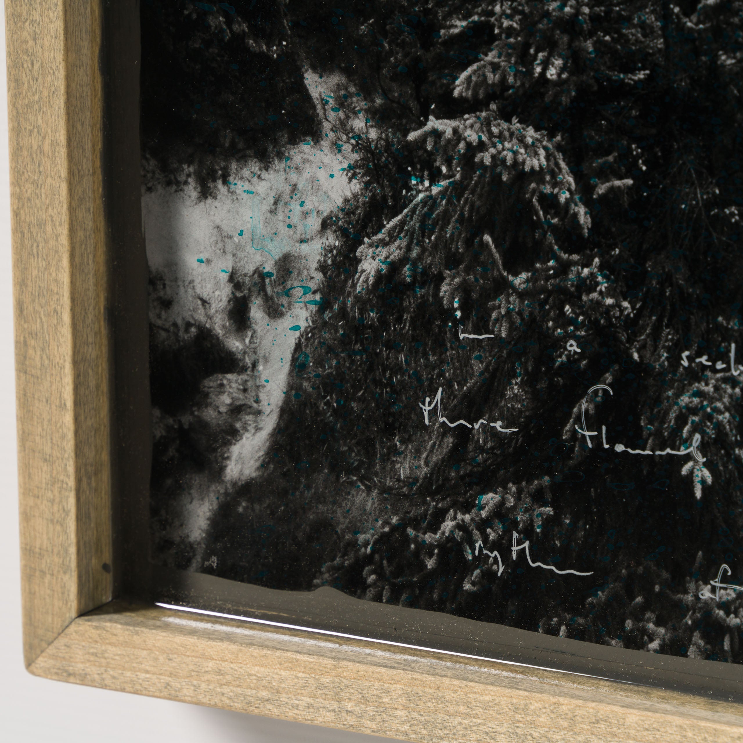 MAZ ORI POR 33740 Misty Symphony 4