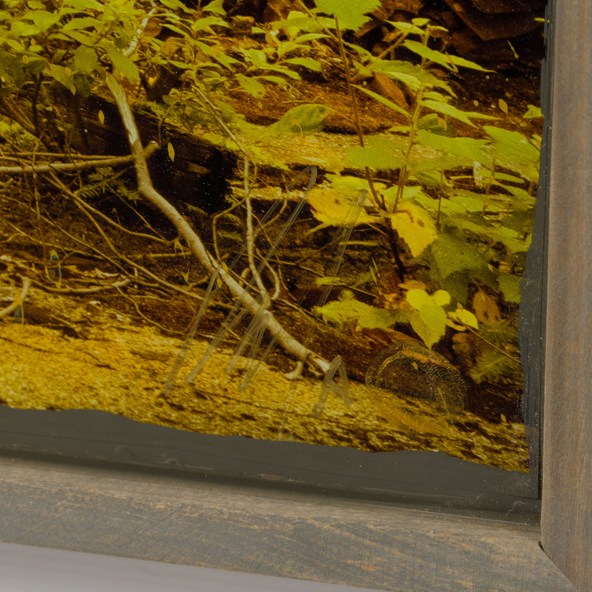 MAZ ORI POR 33747 Ready to Roll 3