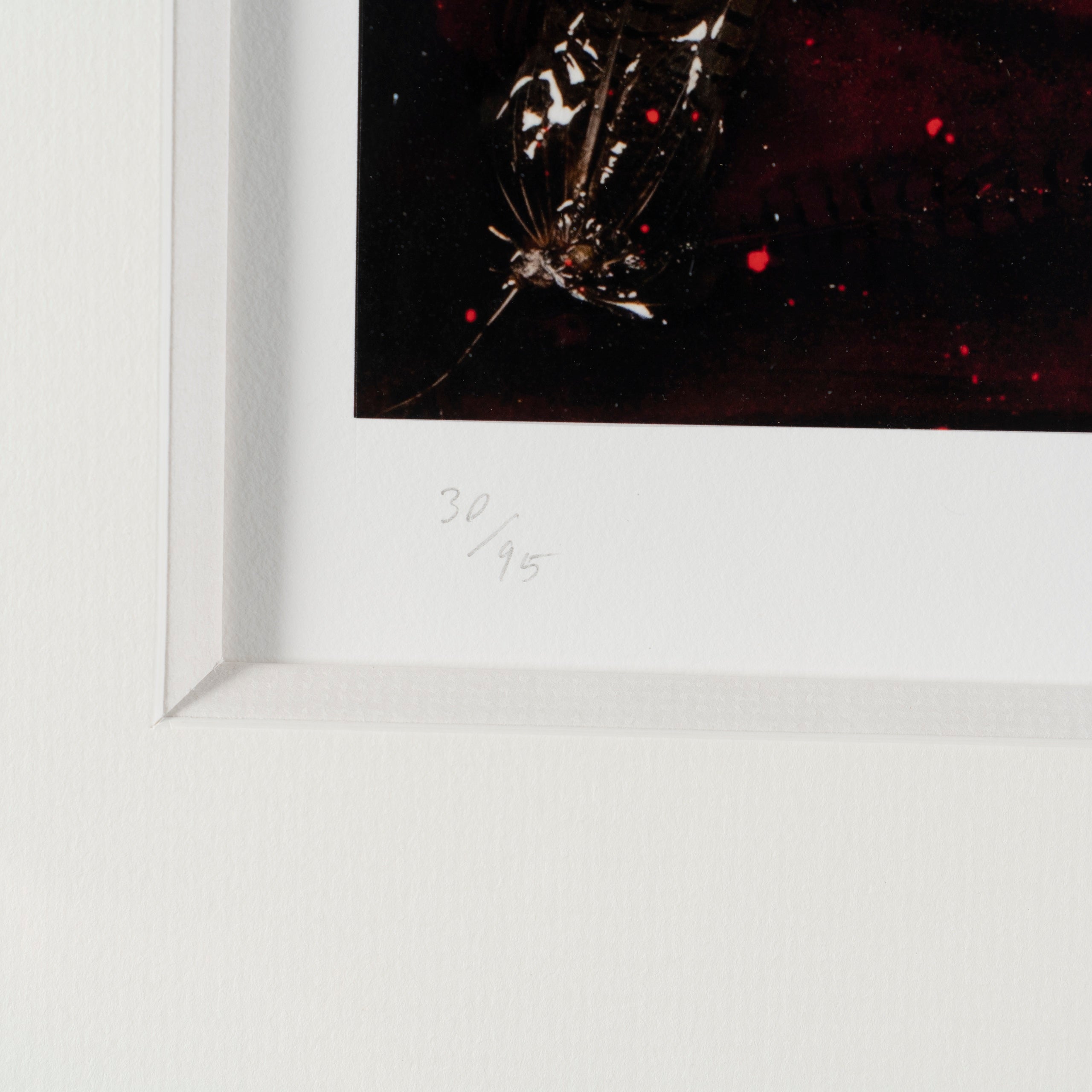 MAZ SLE POR 05997 4 Mexico I