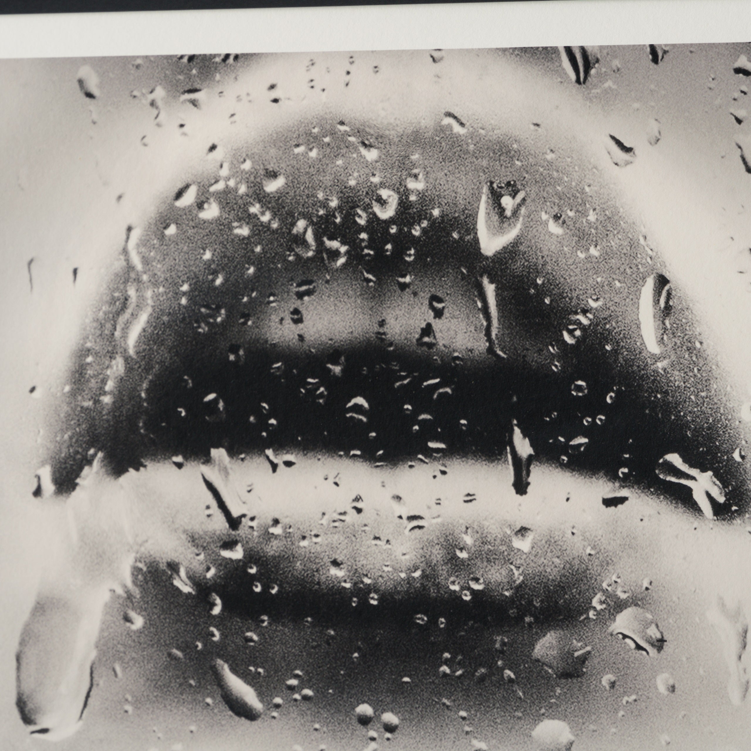 MAZ SLE POR 07091 5 Laters Baby