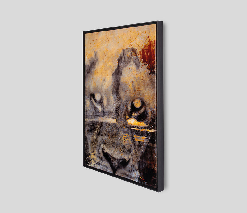 MAZ SLE POR 27808 2 Free Spirit