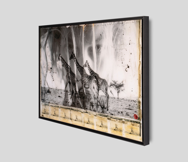 MAZ SLE POR 27809 2 Behind These Eyes