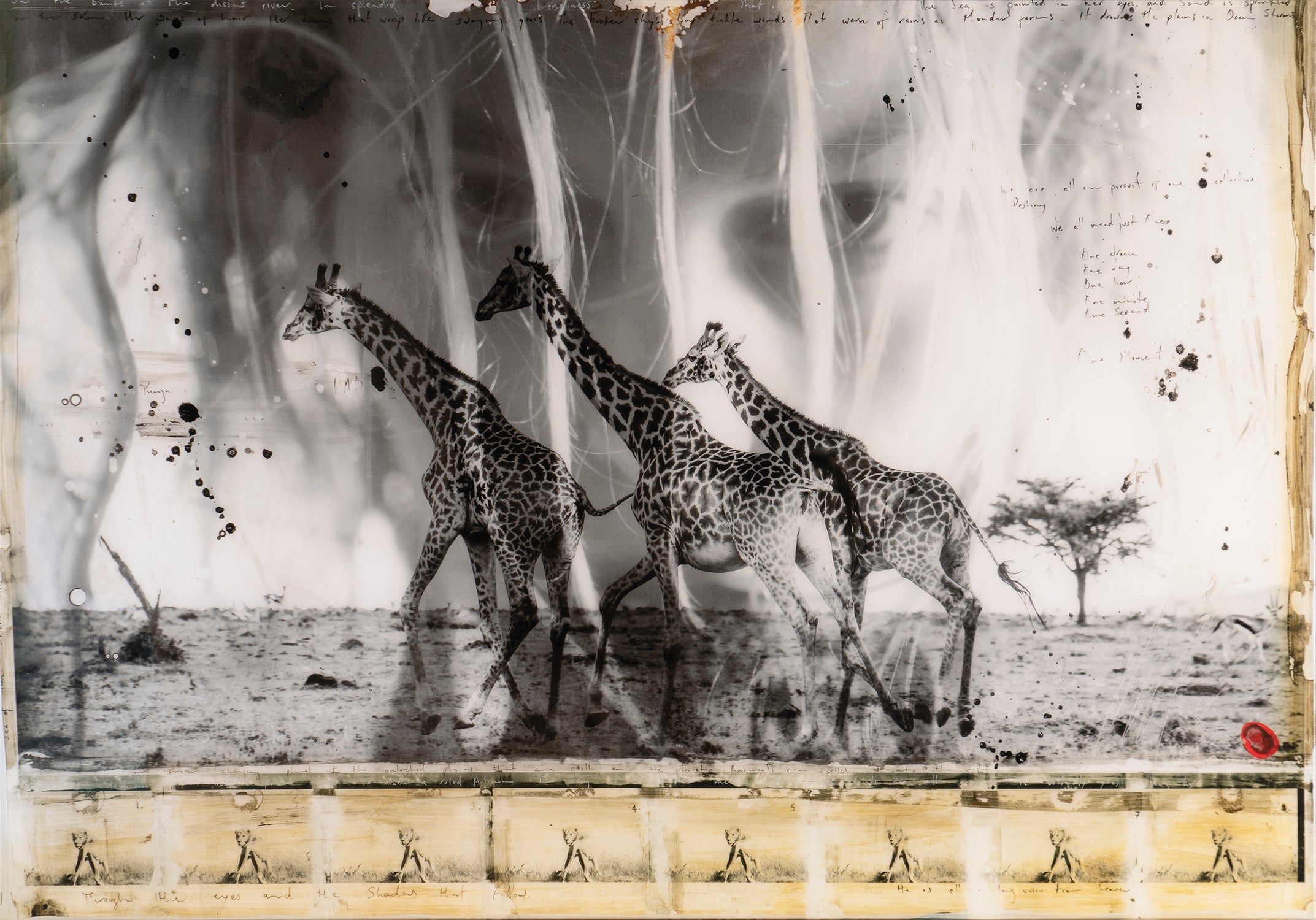 MAZ SLE POR 27809 3 Behind These Eyes