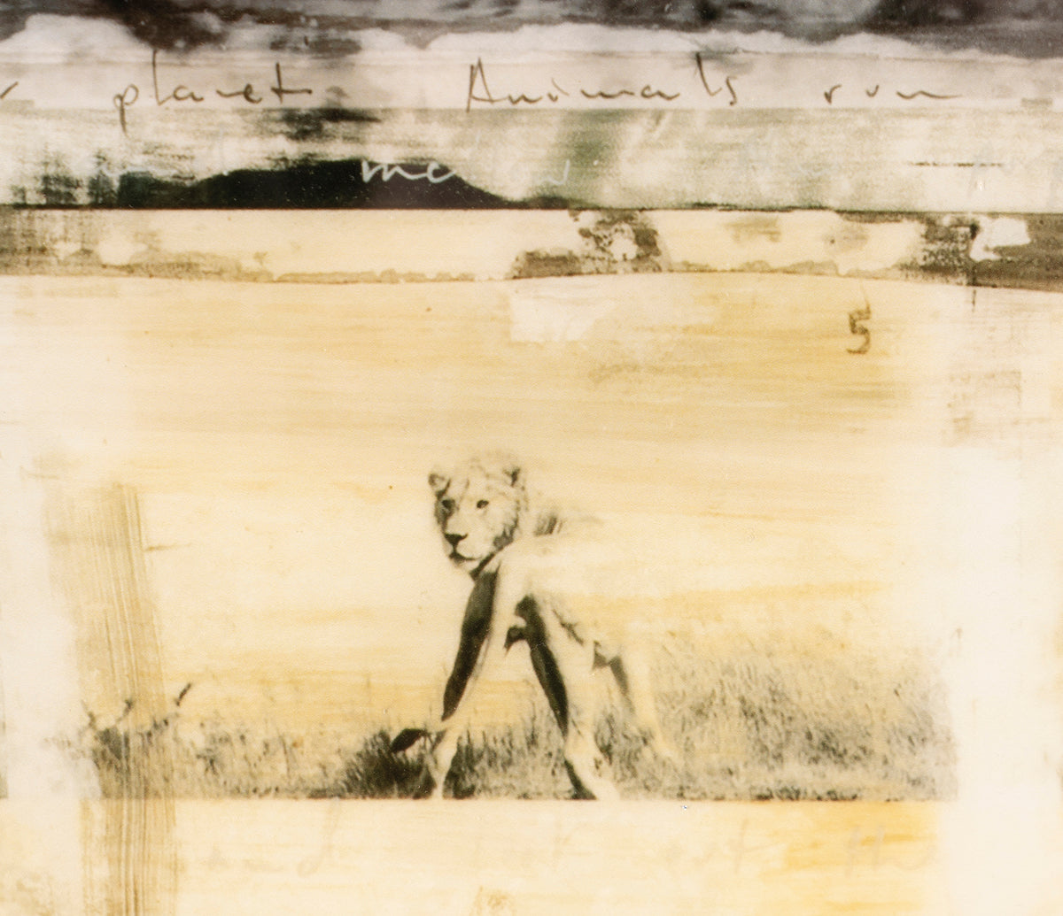 MAZ SLE POR 27809 6 Behind These Eyes