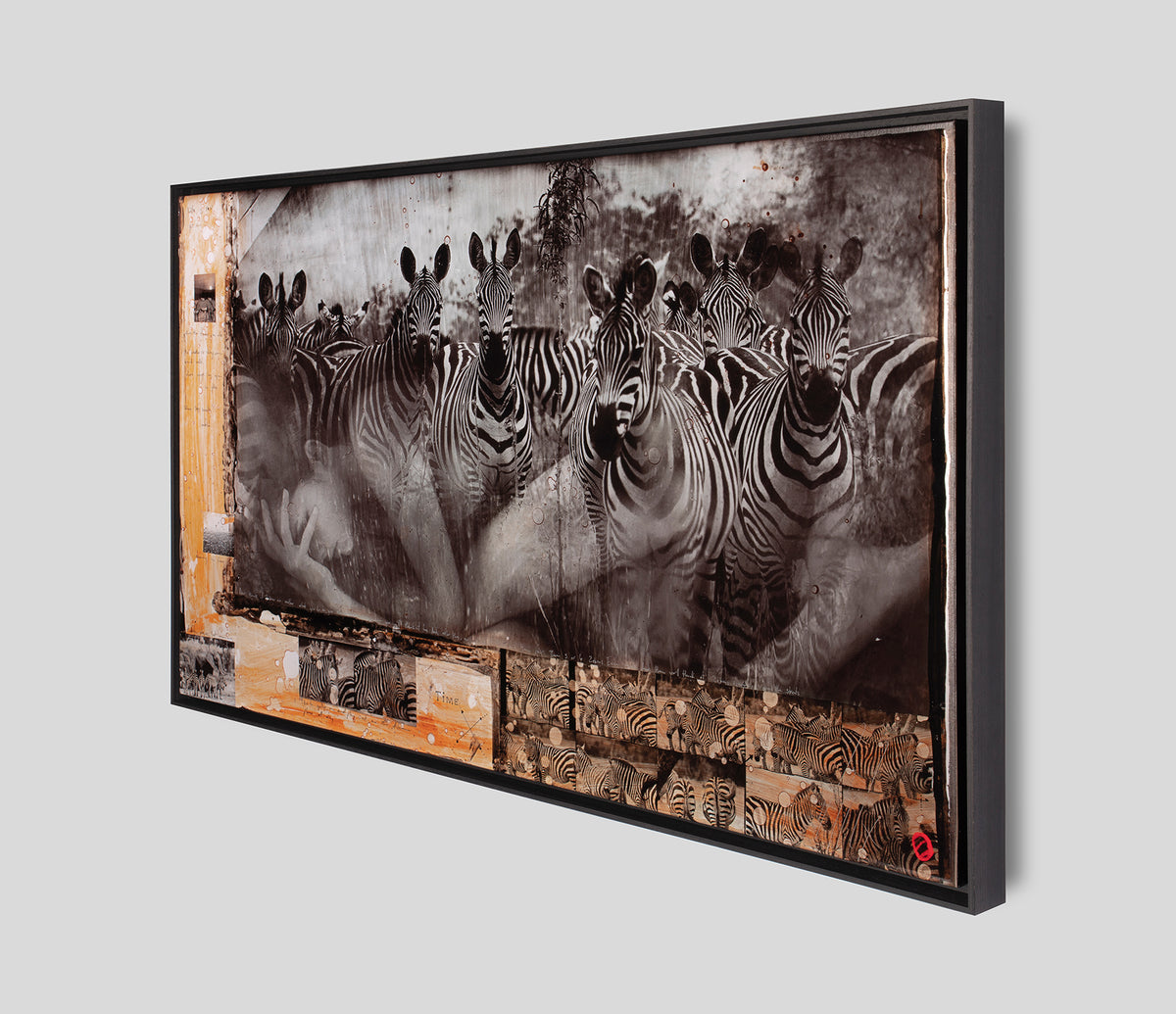 MAZ SLE POR 27811 2 Zebras