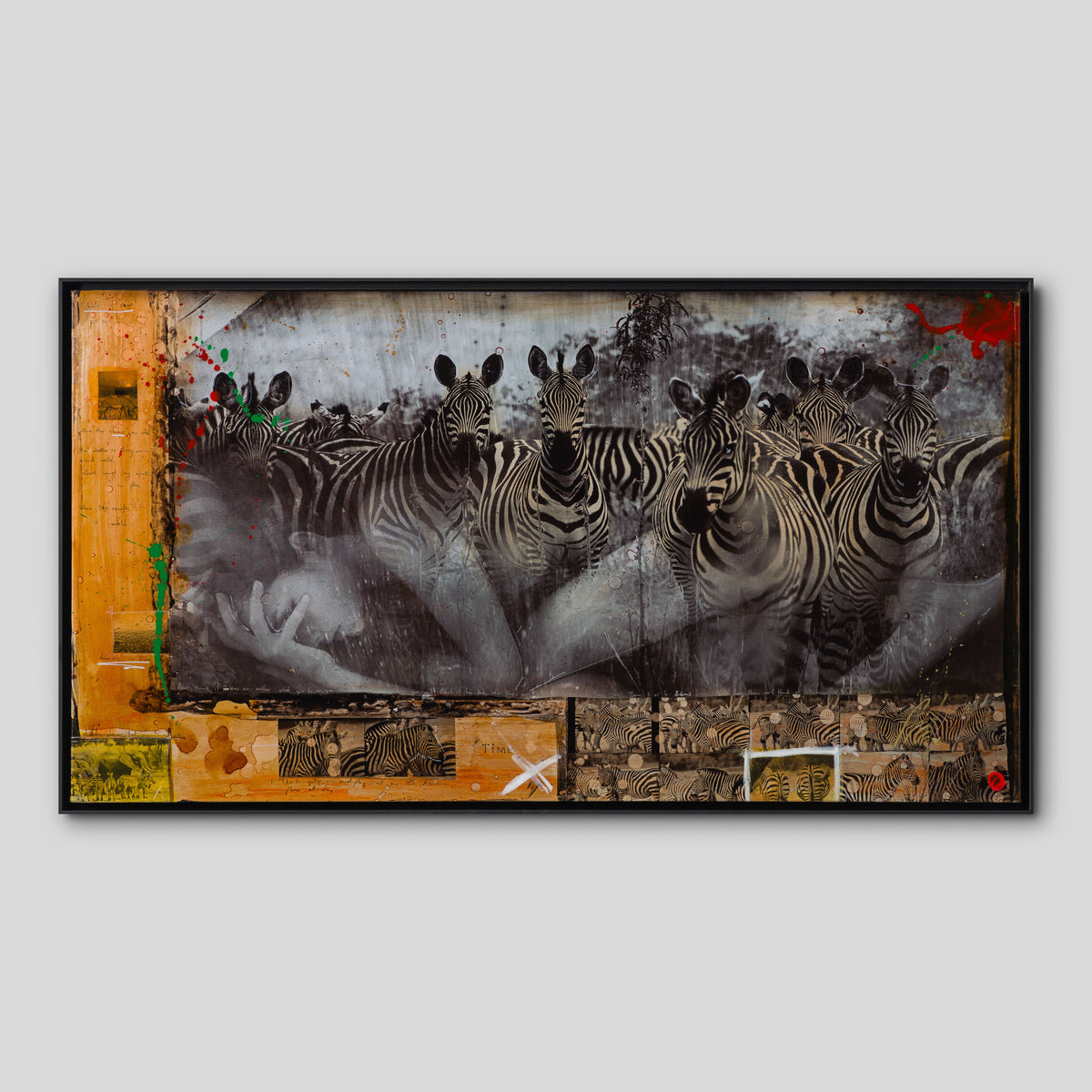 MAZ SLE UNI 31334 Zebras Unique 1 1