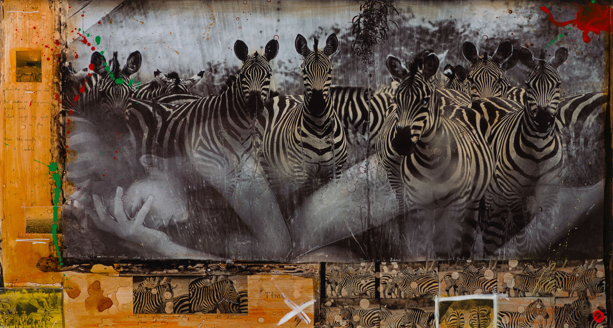 MAZ SLE UNI 31334 Zebras Unique 1 31