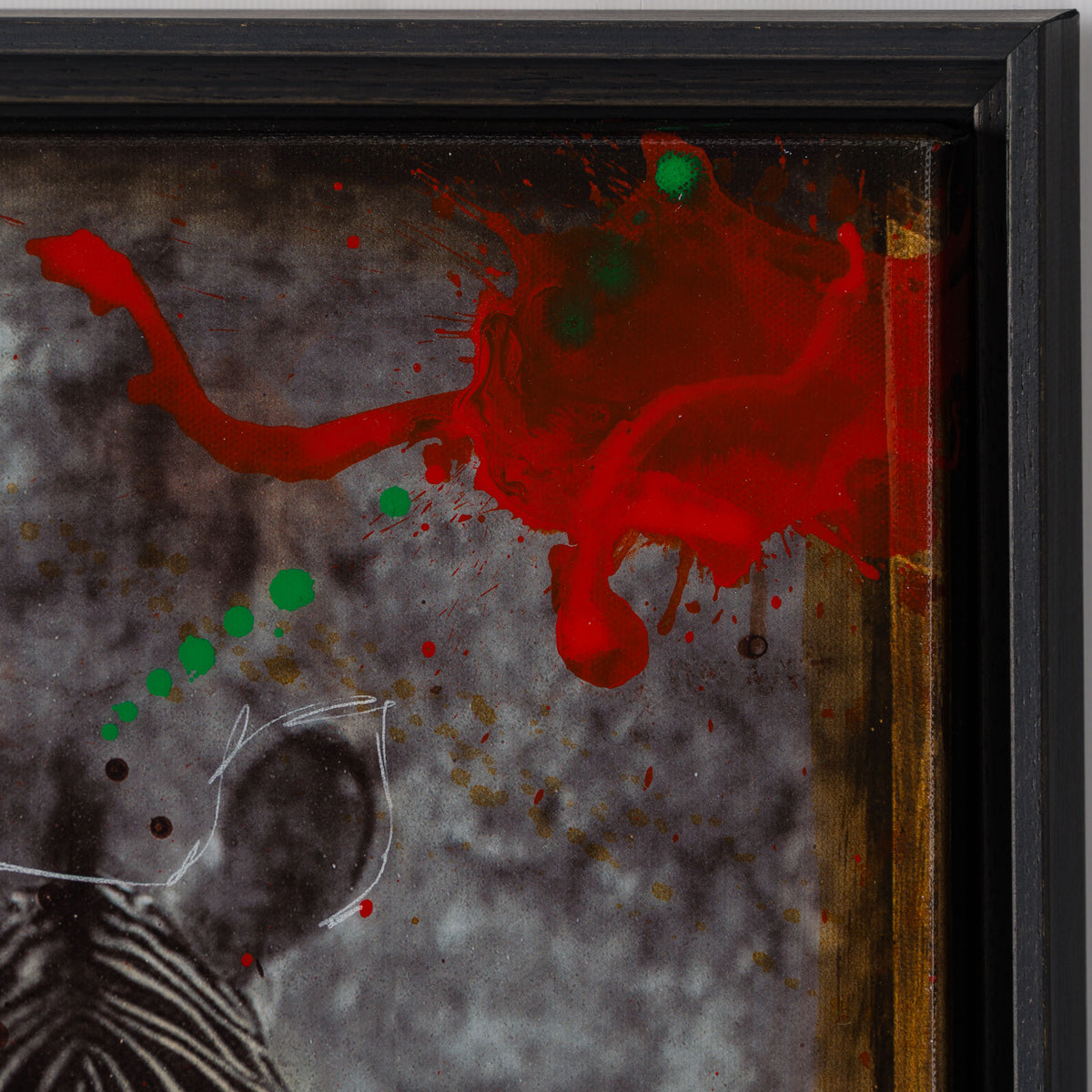 MAZ SLE UNI 31334 Zebras Unique 1 5