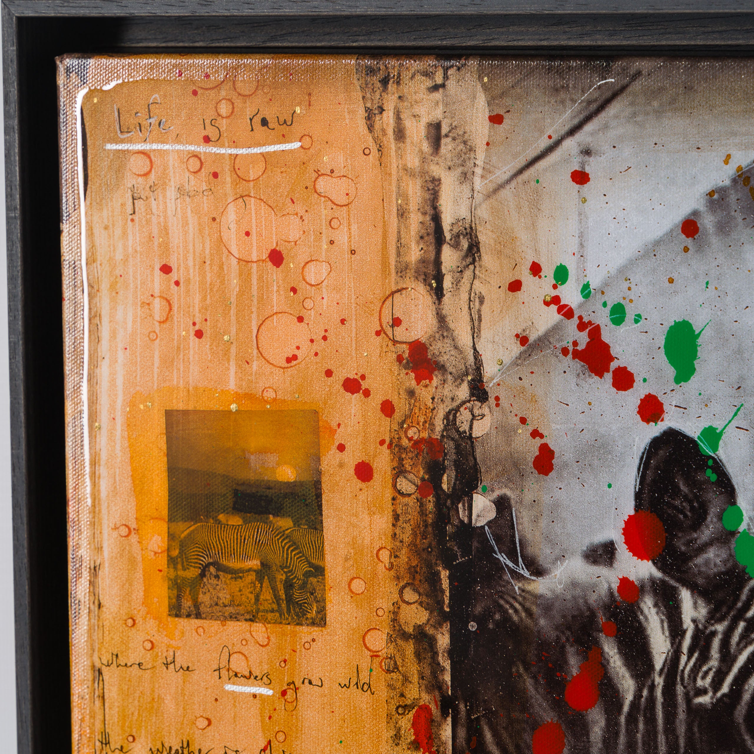 MAZ SLE UNI 31334 Zebras Unique 1 6