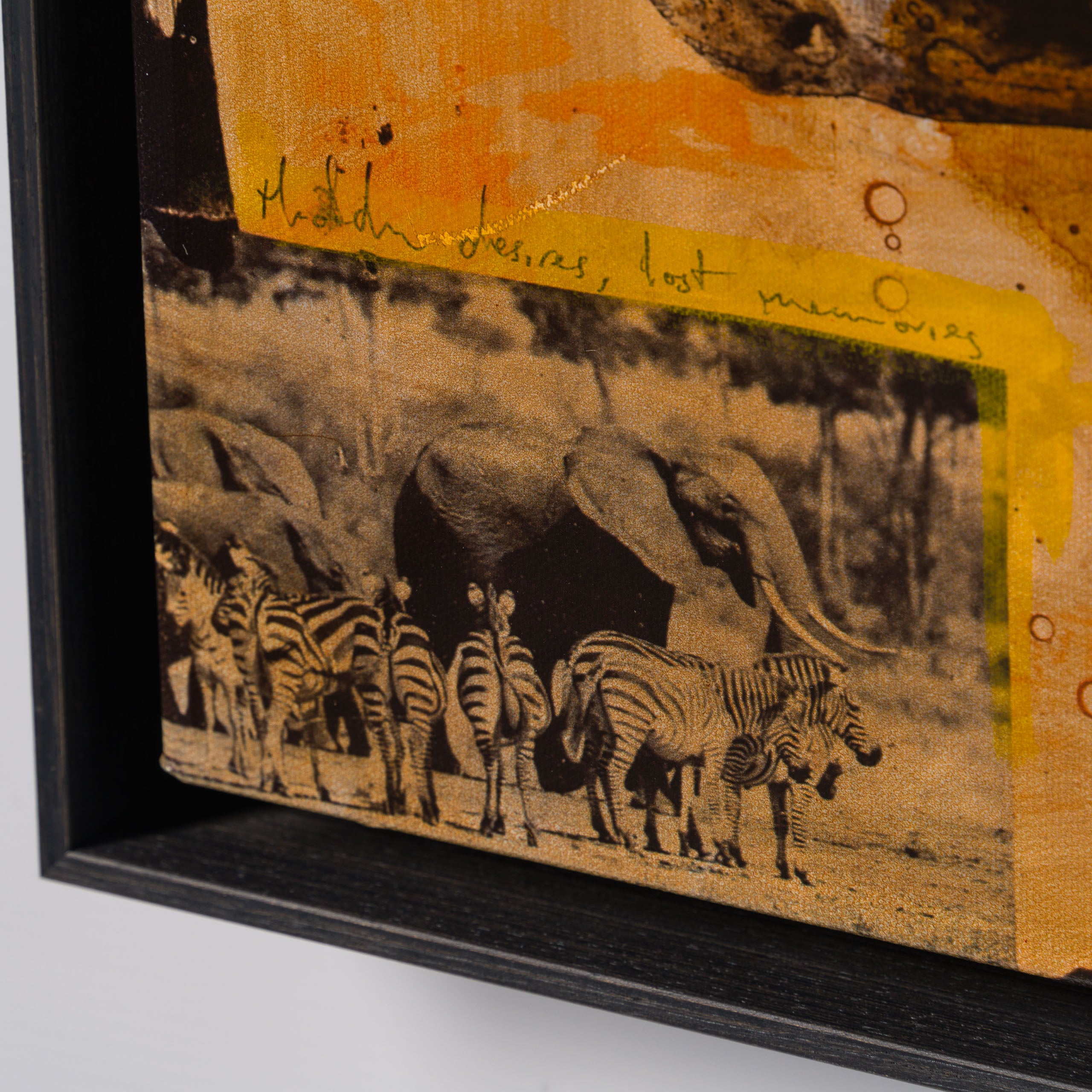 MAZ SLE UNI 31335 Zebras Unique 2 4