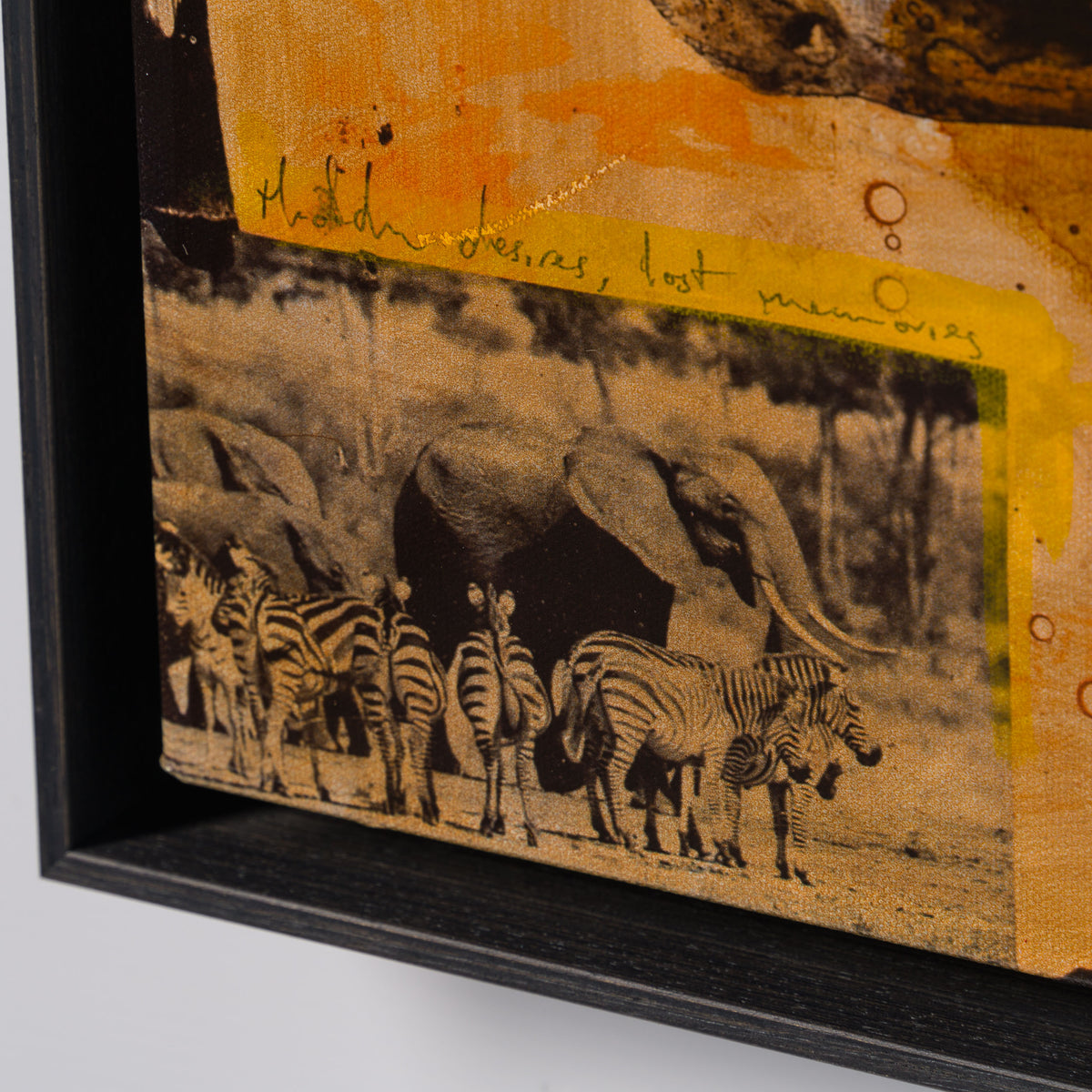 MAZ SLE UNI 31335 Zebras Unique 2 4