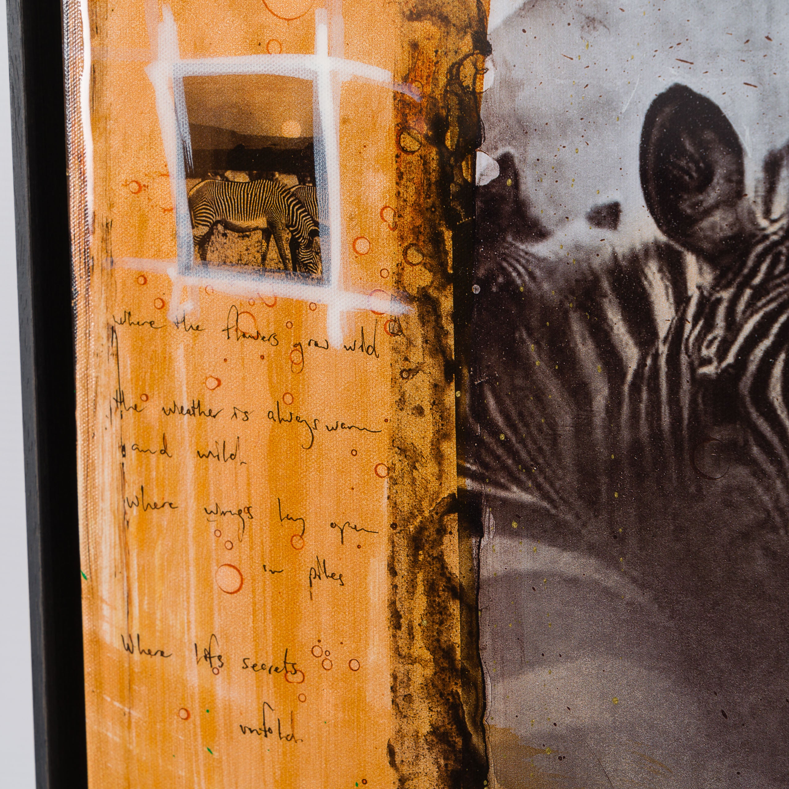 MAZ SLE UNI 31335 Zebras Unique 2 6