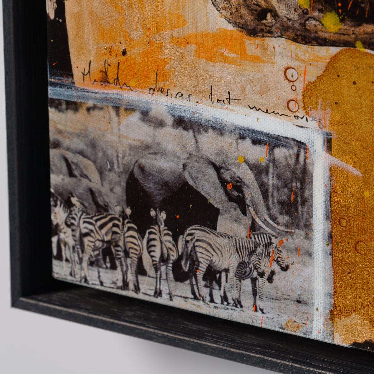 MAZ SLE UNI 31336 Zebras Unique 3 5