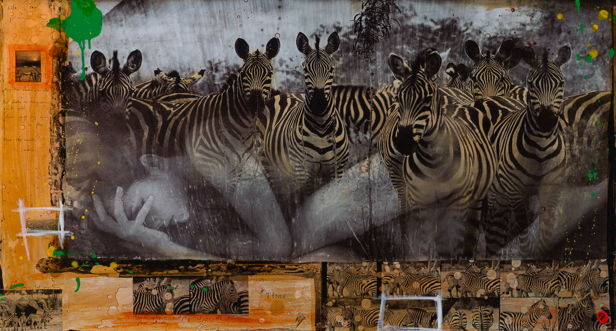 MAZ SLE UNI 31337 Zebras Unique 4 31