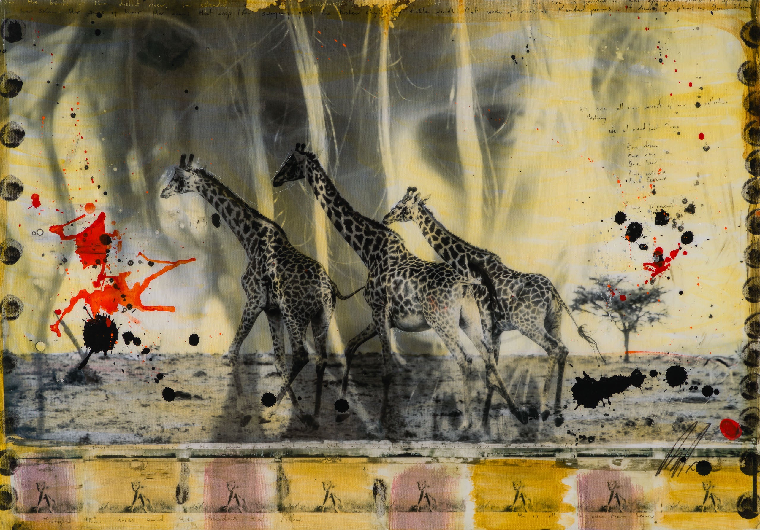 MAZ SLE UNI 31352 Behind These Eyes Unique 4 31