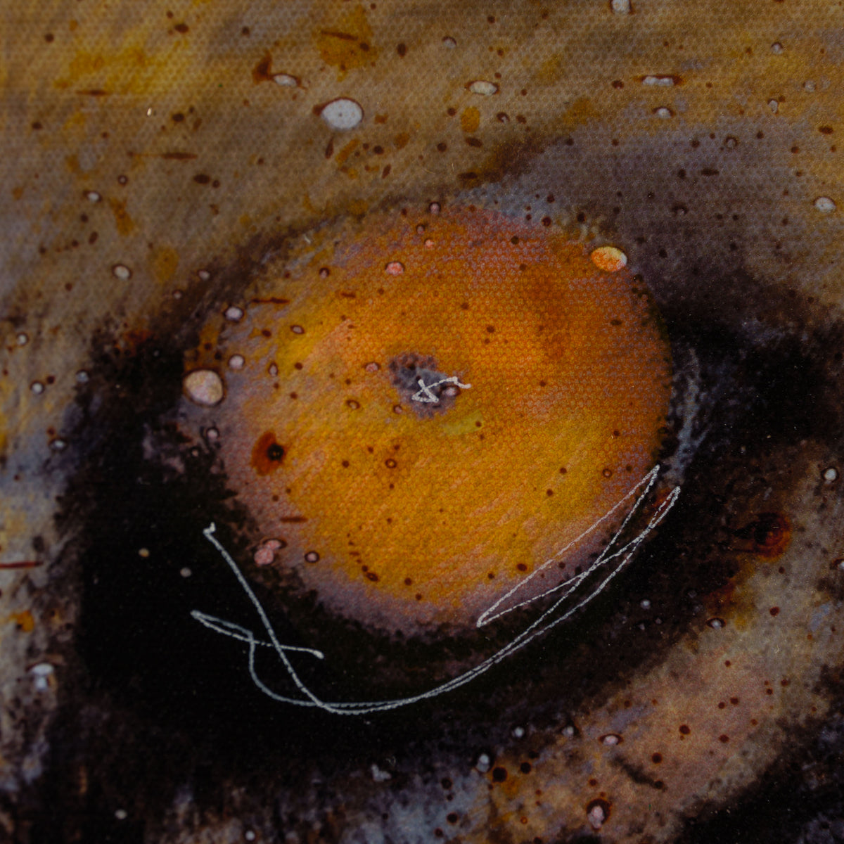 MAZ SLE UNI 31355 Free Spirit Unique 1 6