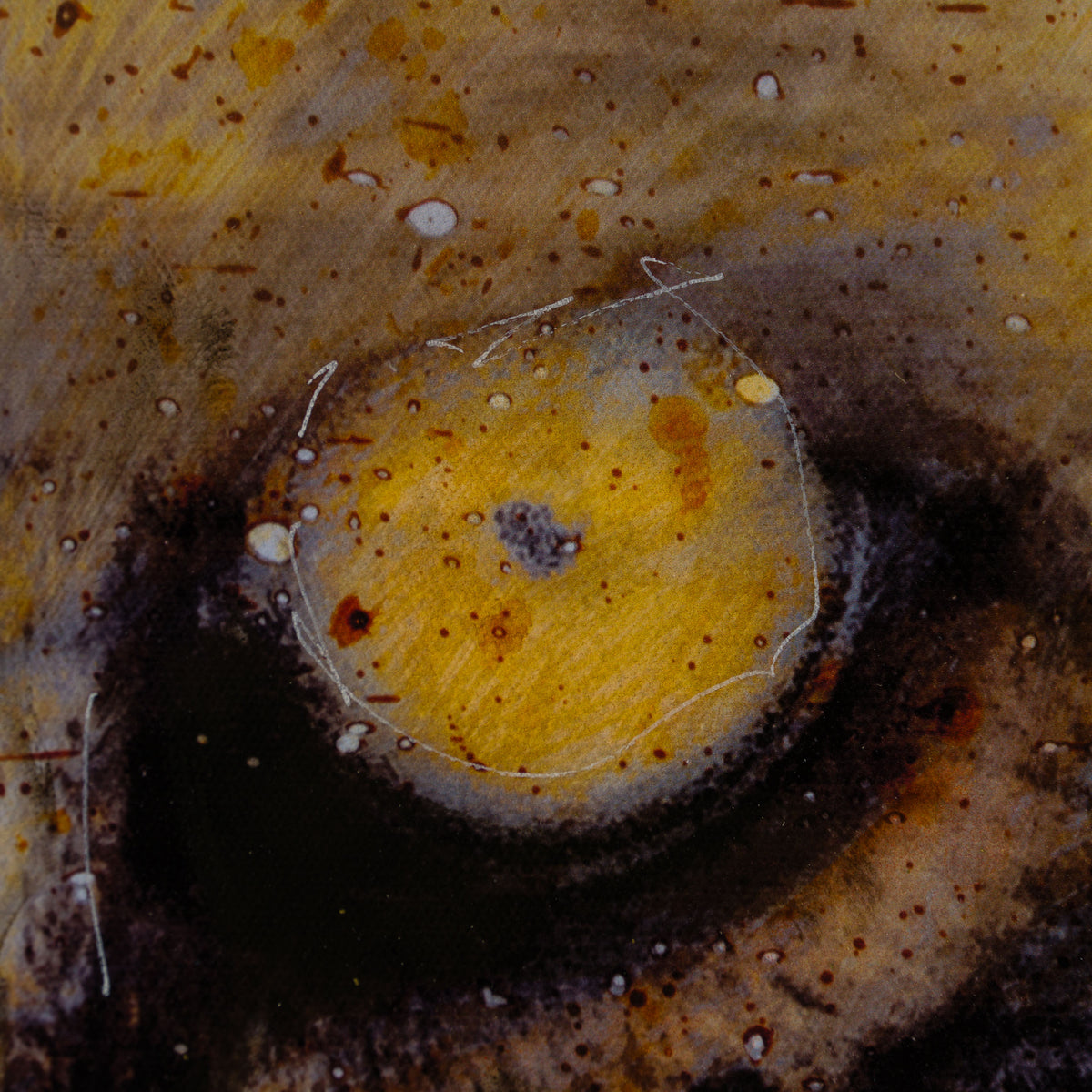 MAZ SLE UNI 31357 Free Spirit Unique 2 6